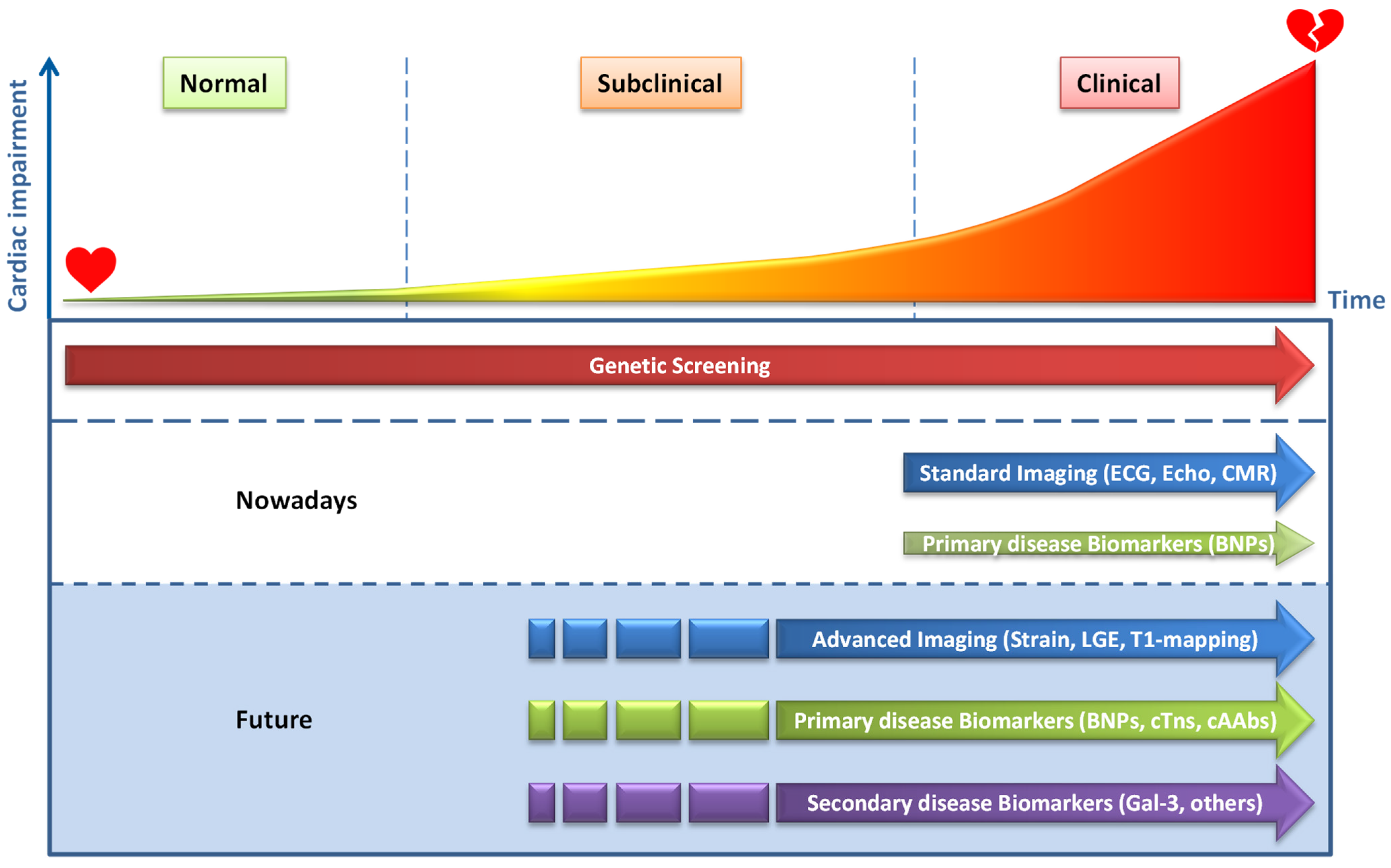 Ijms 22 02955 g003 Ijms 22 02955 g003