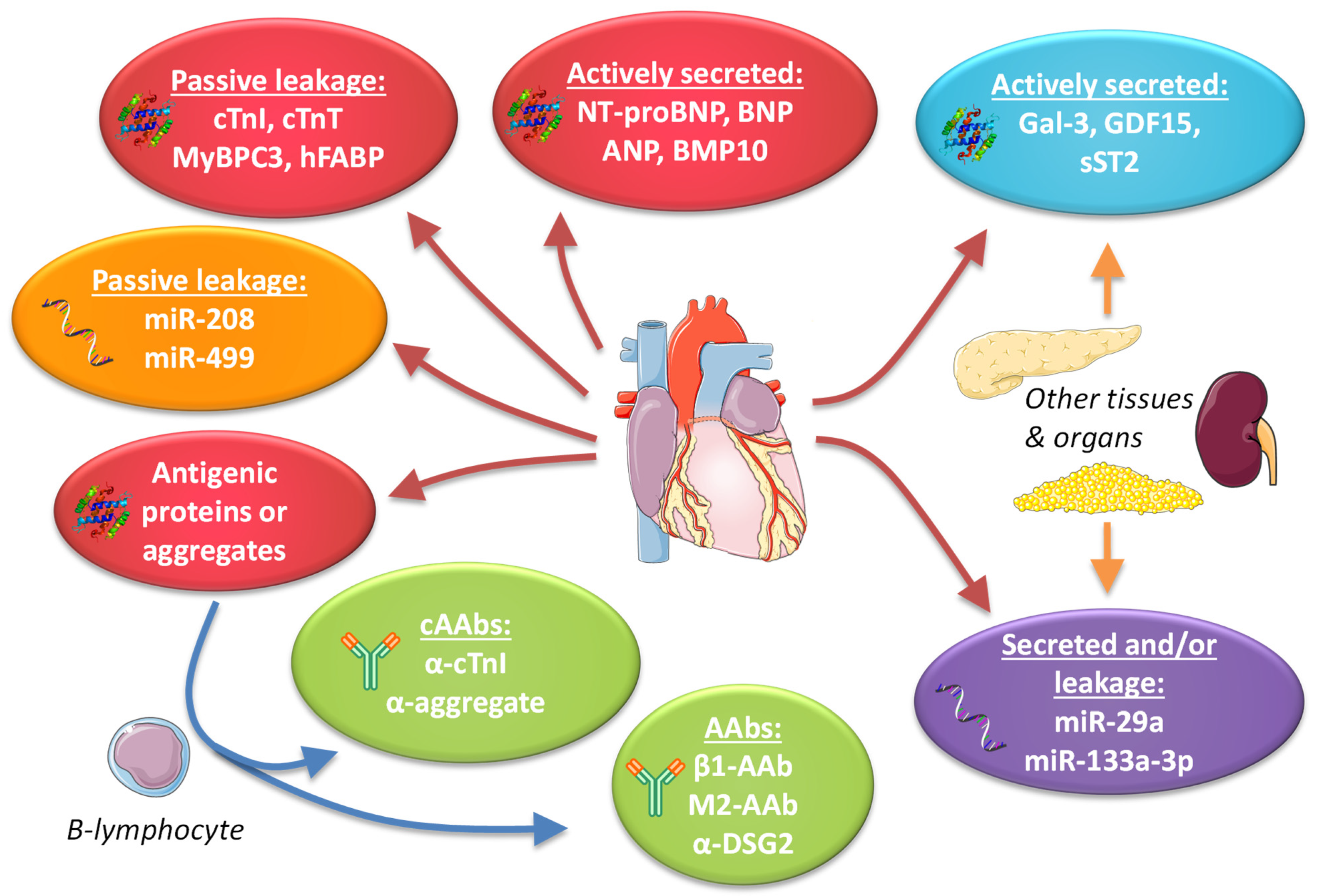 Ijms 22 02955 g004 Ijms 22 02955 g004