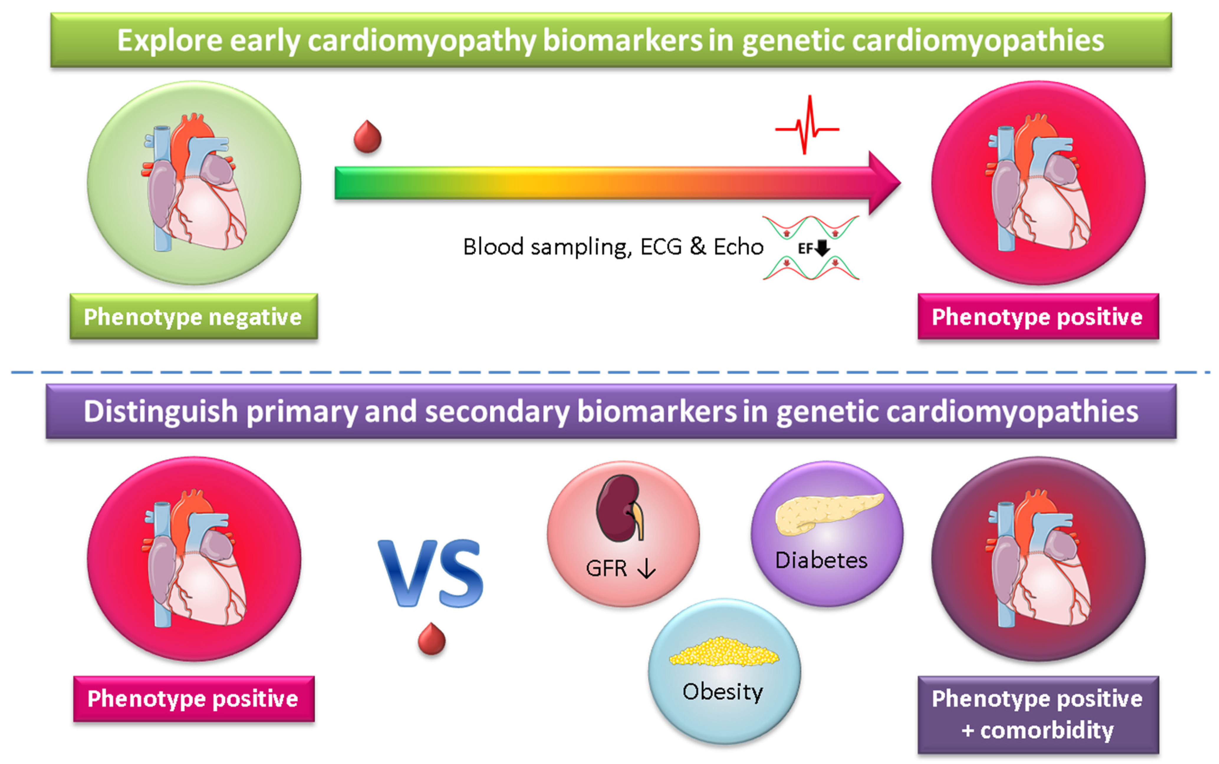 Ijms 22 02955 g005 Ijms 22 02955 g005