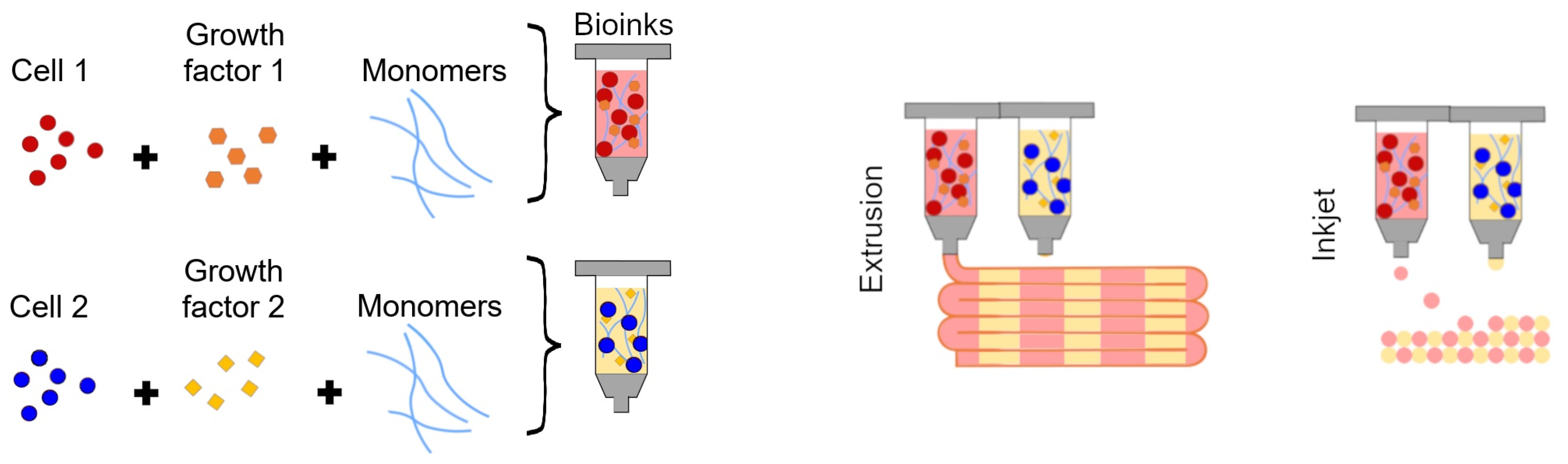 Ijms 22 02962 g002 Ijms 22 02962 g002