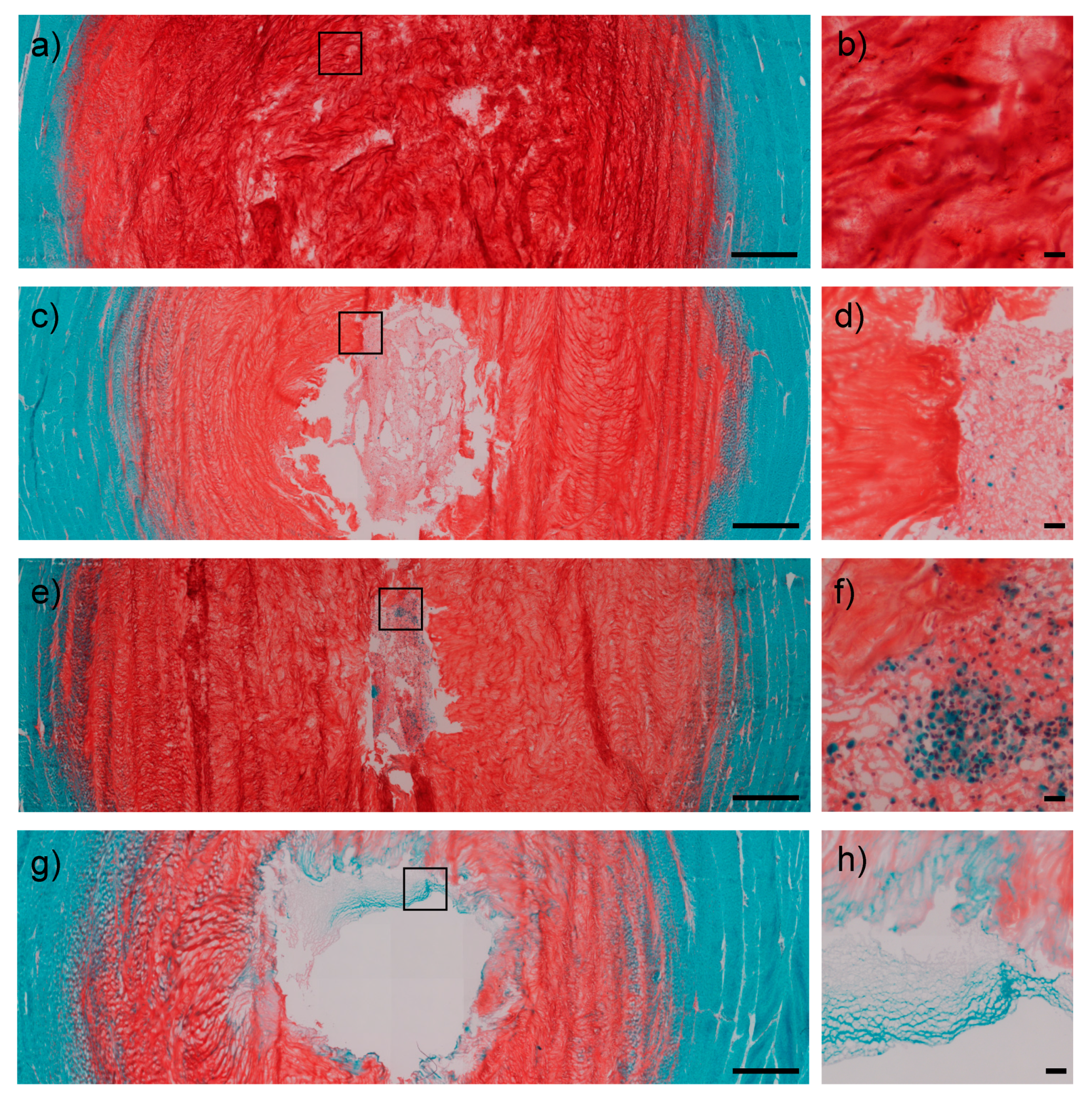 Ijms 22 02963 g002 Ijms 22 02963 g002