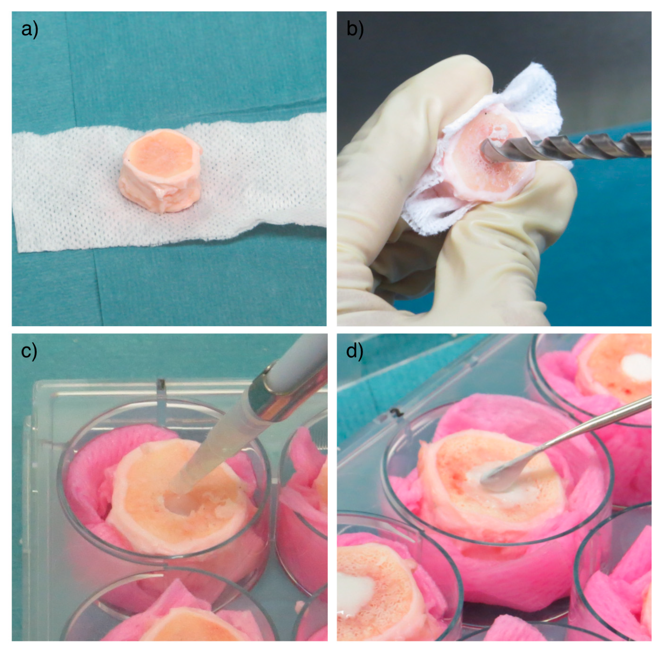 Ijms 22 02963 g004 Ijms 22 02963 g004