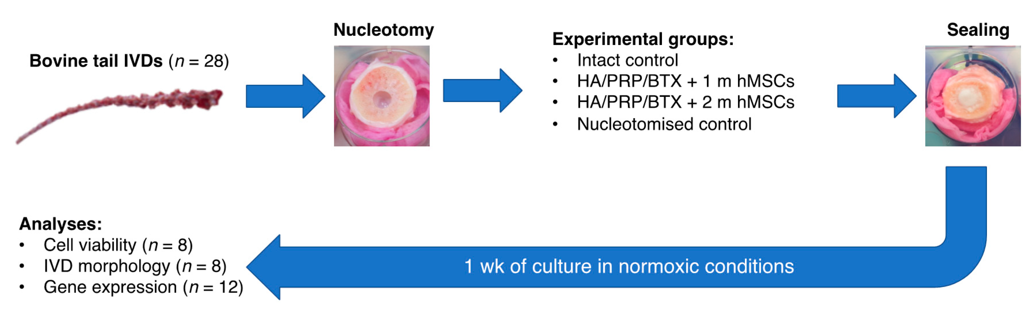Ijms 22 02963 g005 Ijms 22 02963 g005