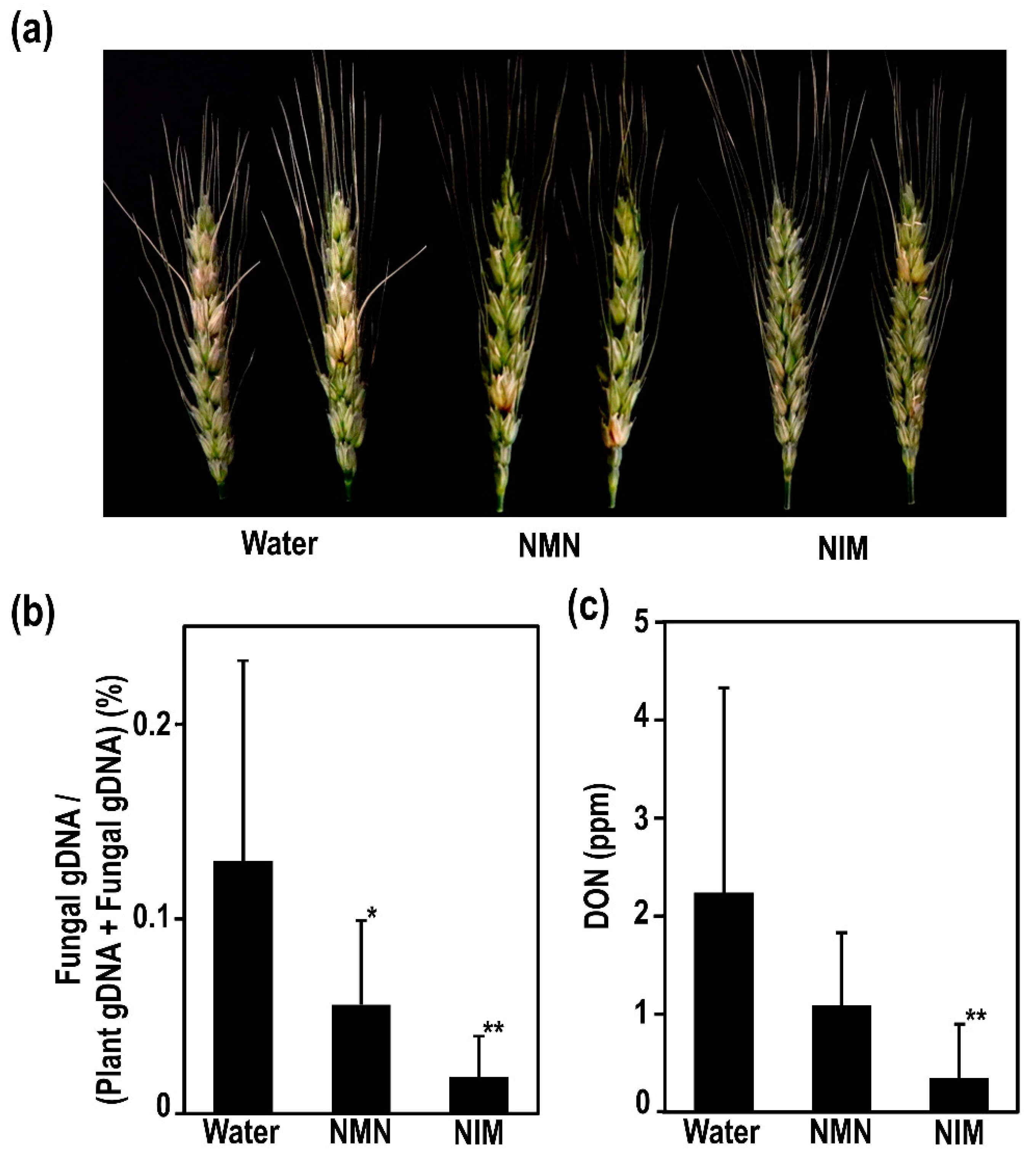 Ijms 22 02968 g002 Ijms 22 02968 g002