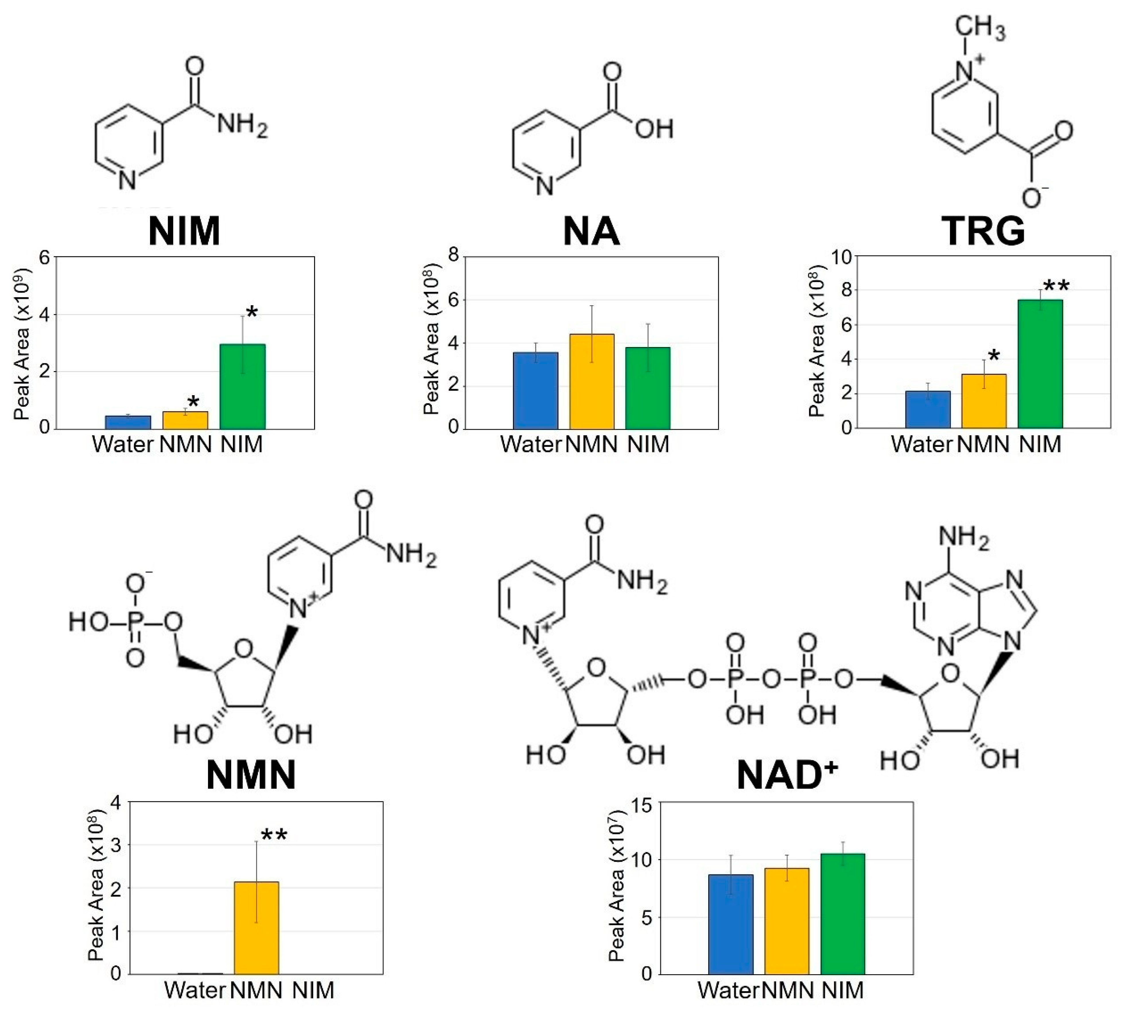 Ijms 22 02968 g003 Ijms 22 02968 g003