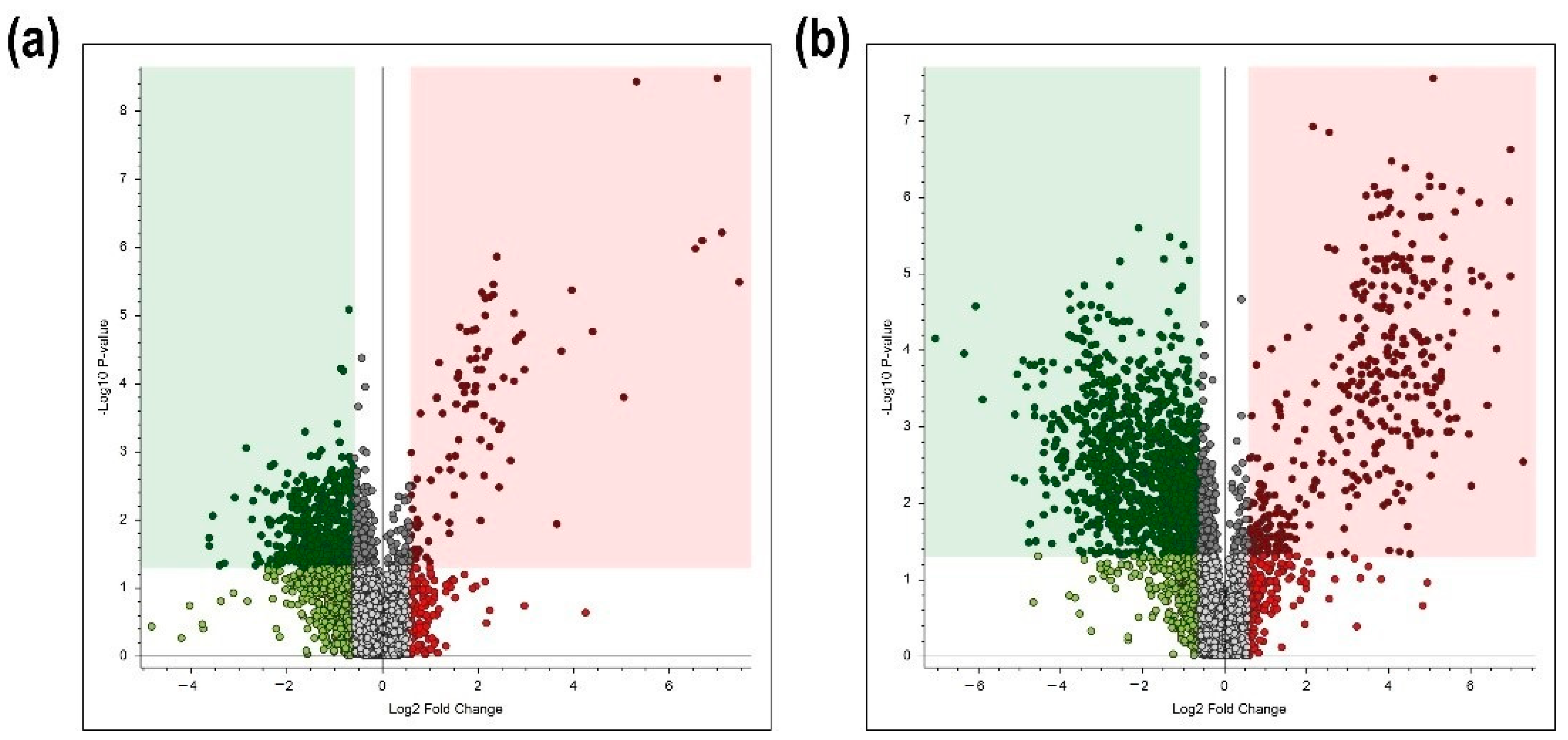 Ijms 22 02968 g004 Ijms 22 02968 g004