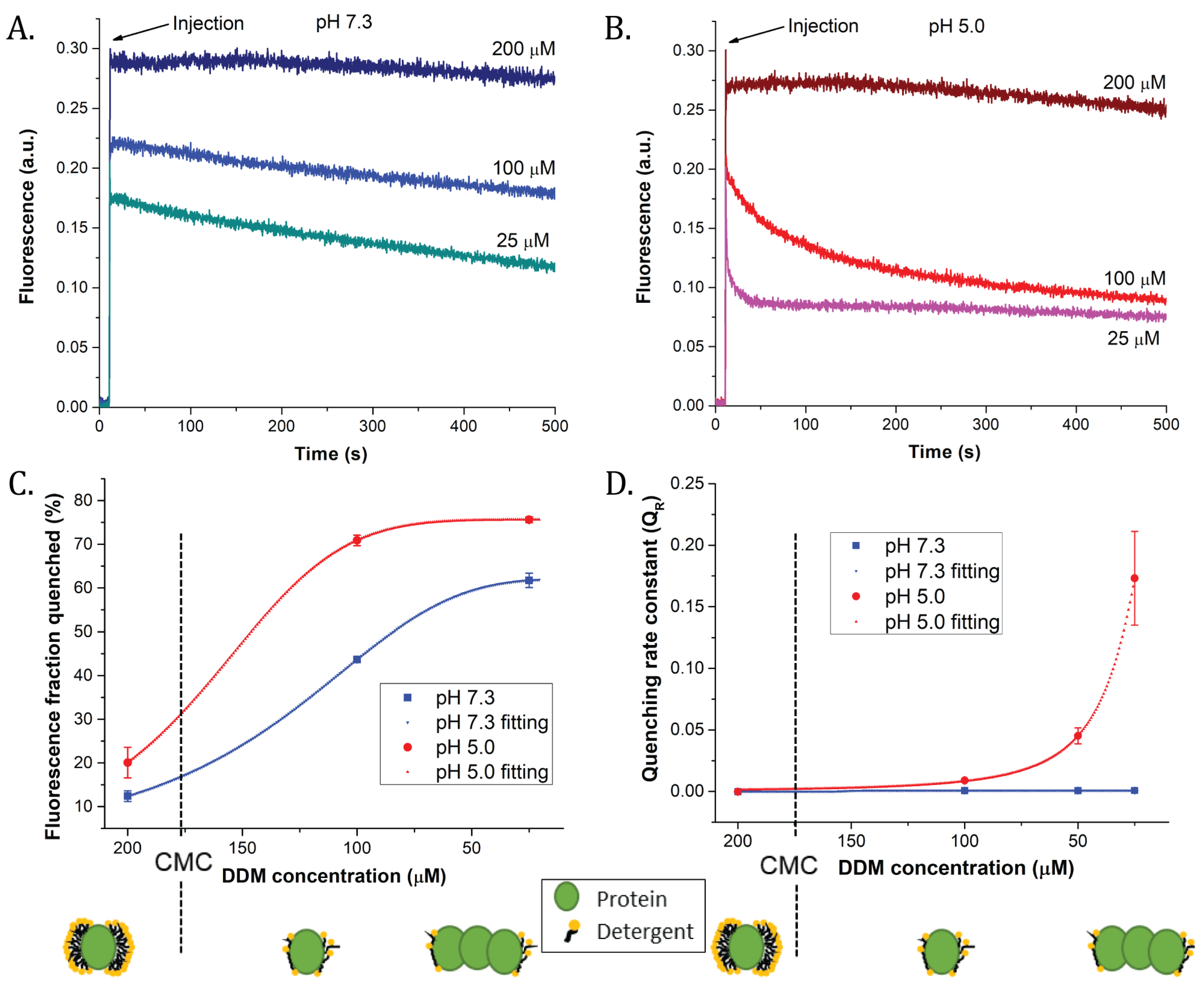 Ijms 22 02969 g001 Ijms 22 02969 g001