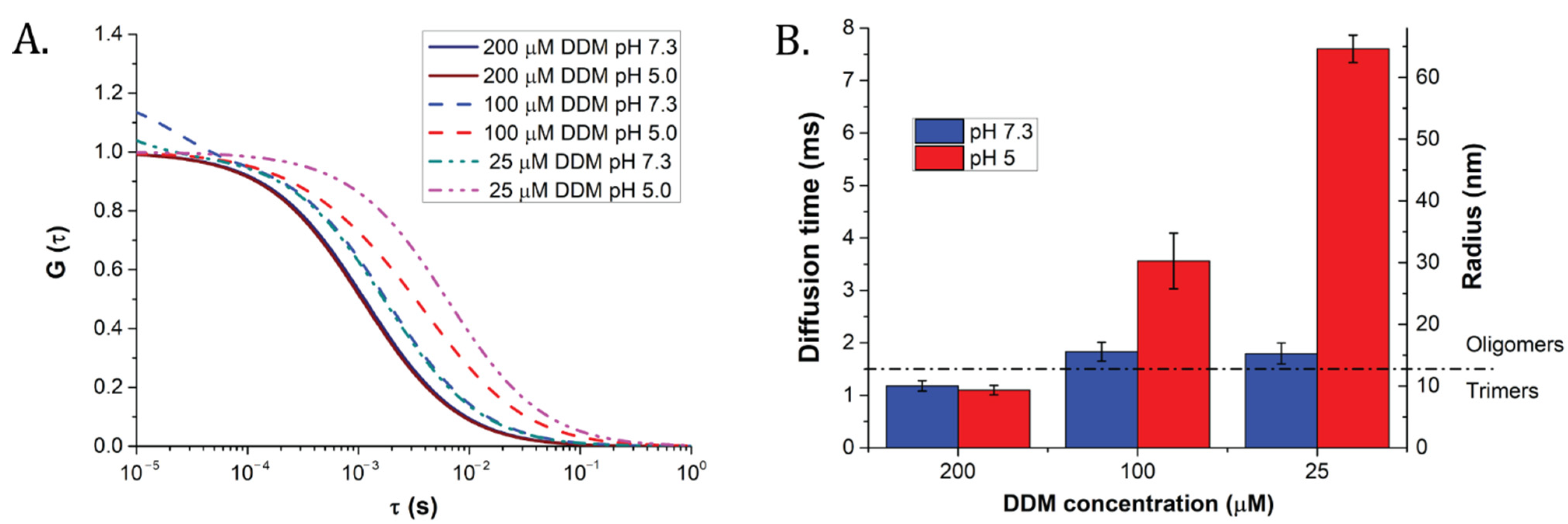 Ijms 22 02969 g002 Ijms 22 02969 g002