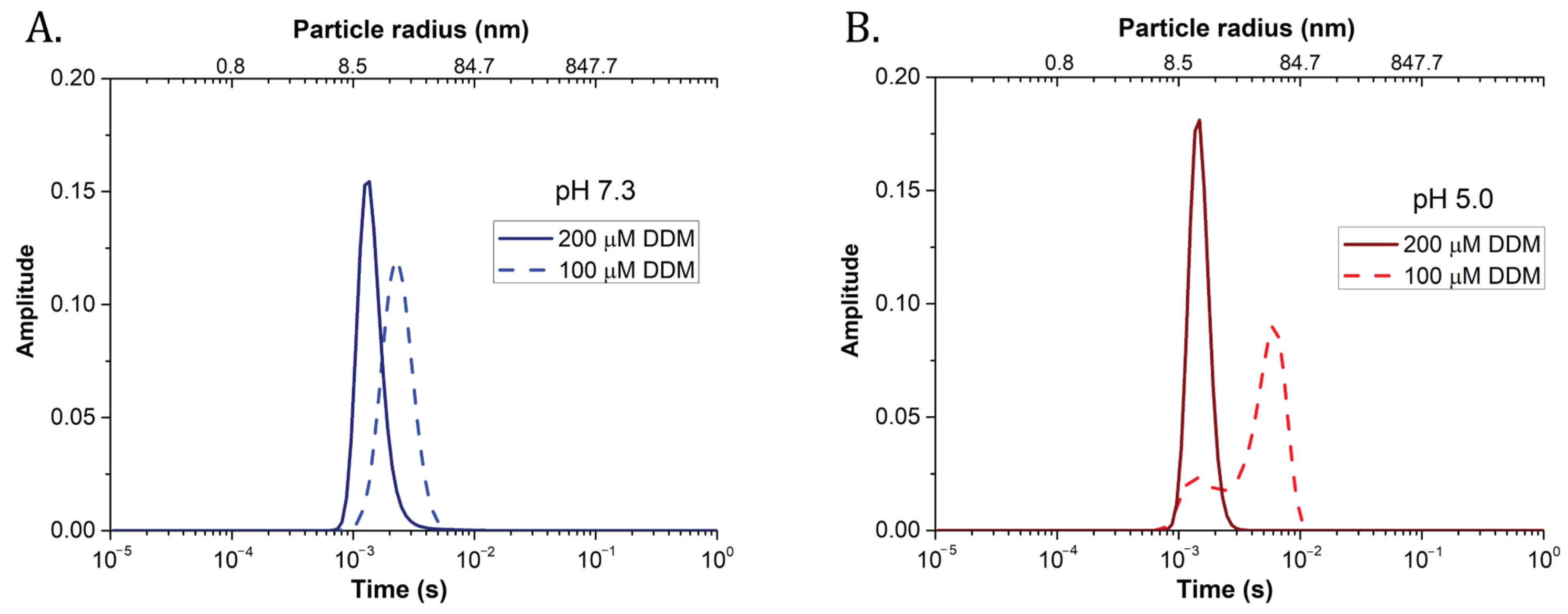 Ijms 22 02969 g003 Ijms 22 02969 g003
