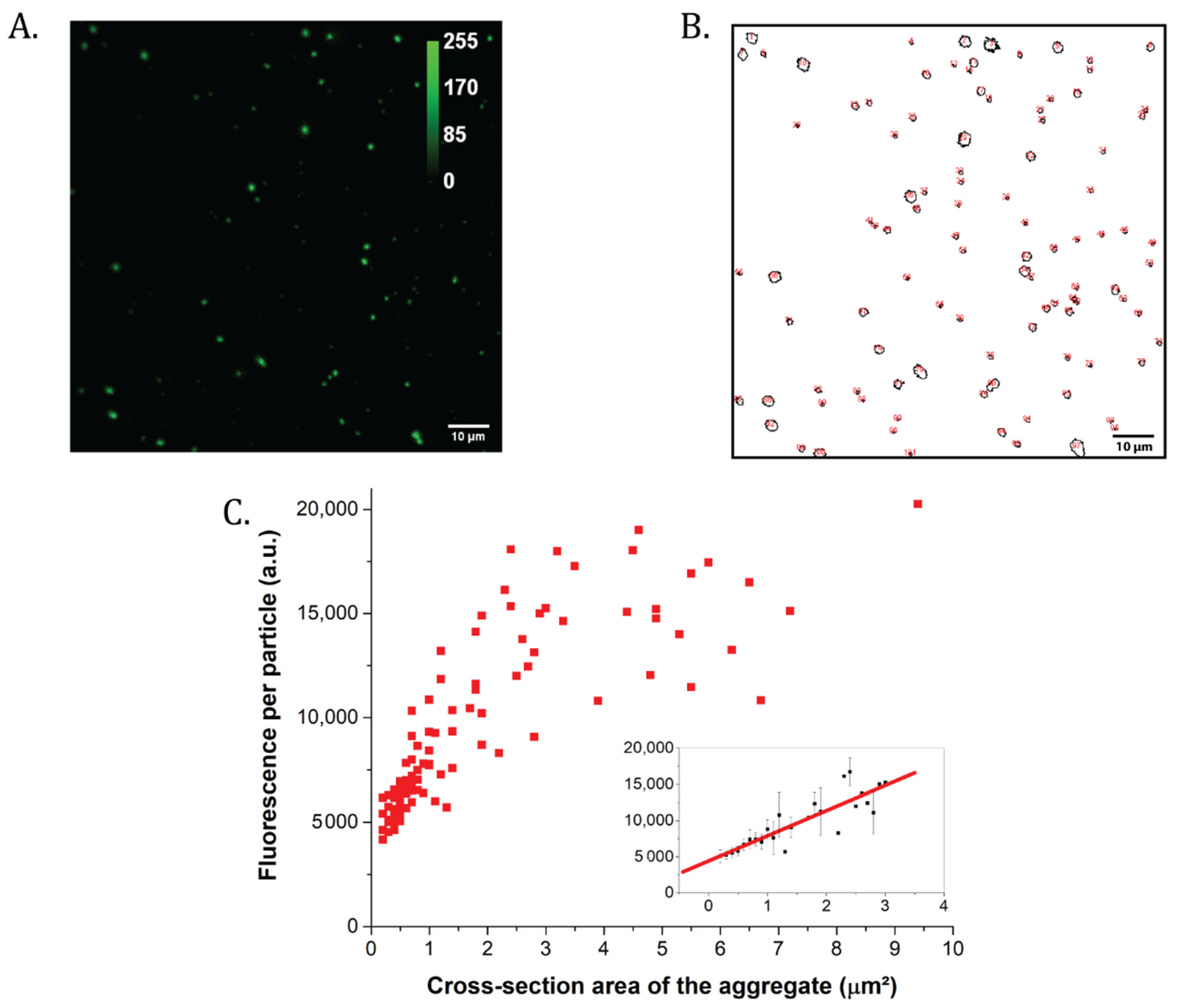 Ijms 22 02969 g004 Ijms 22 02969 g004