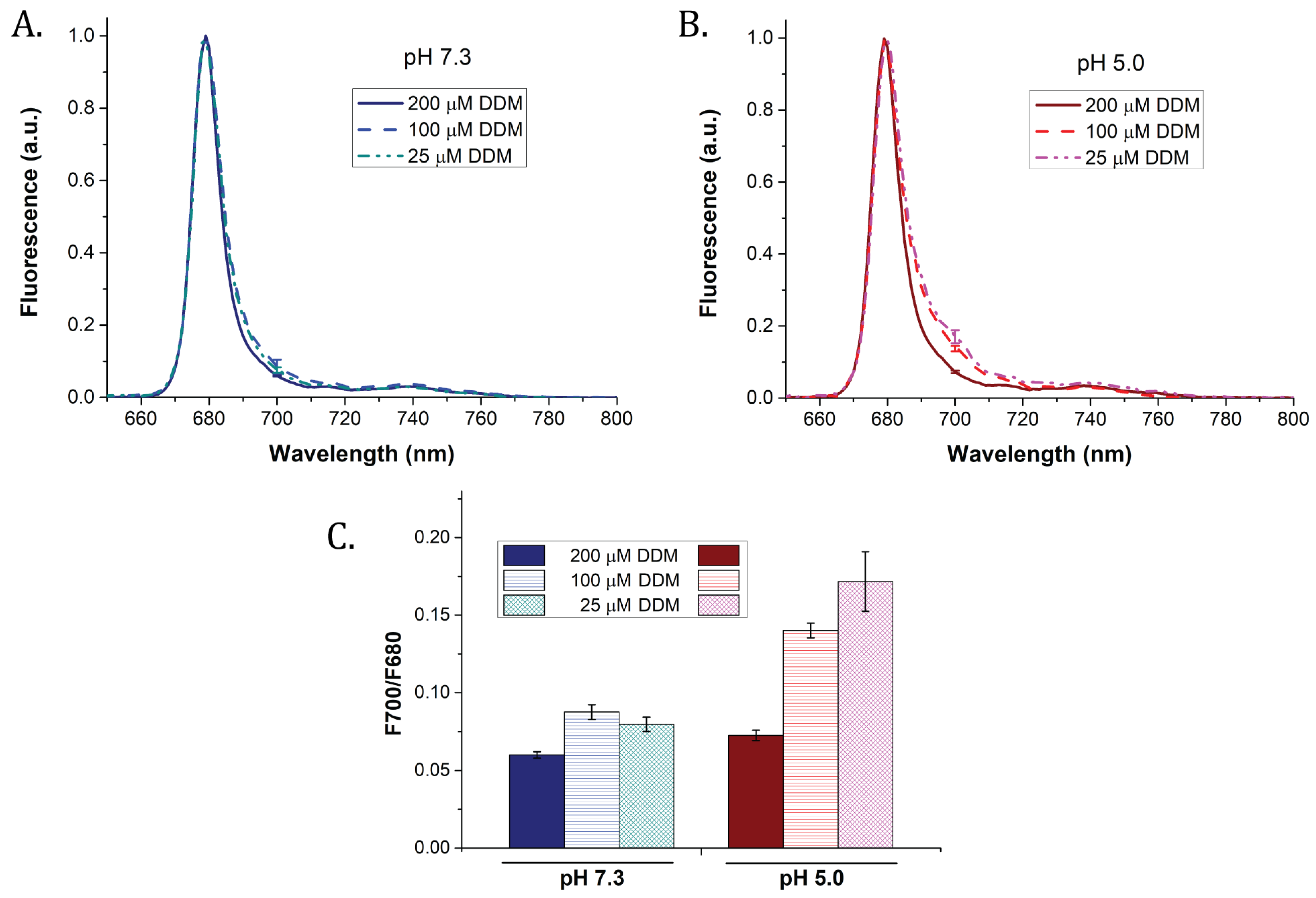 Ijms 22 02969 g005 Ijms 22 02969 g005