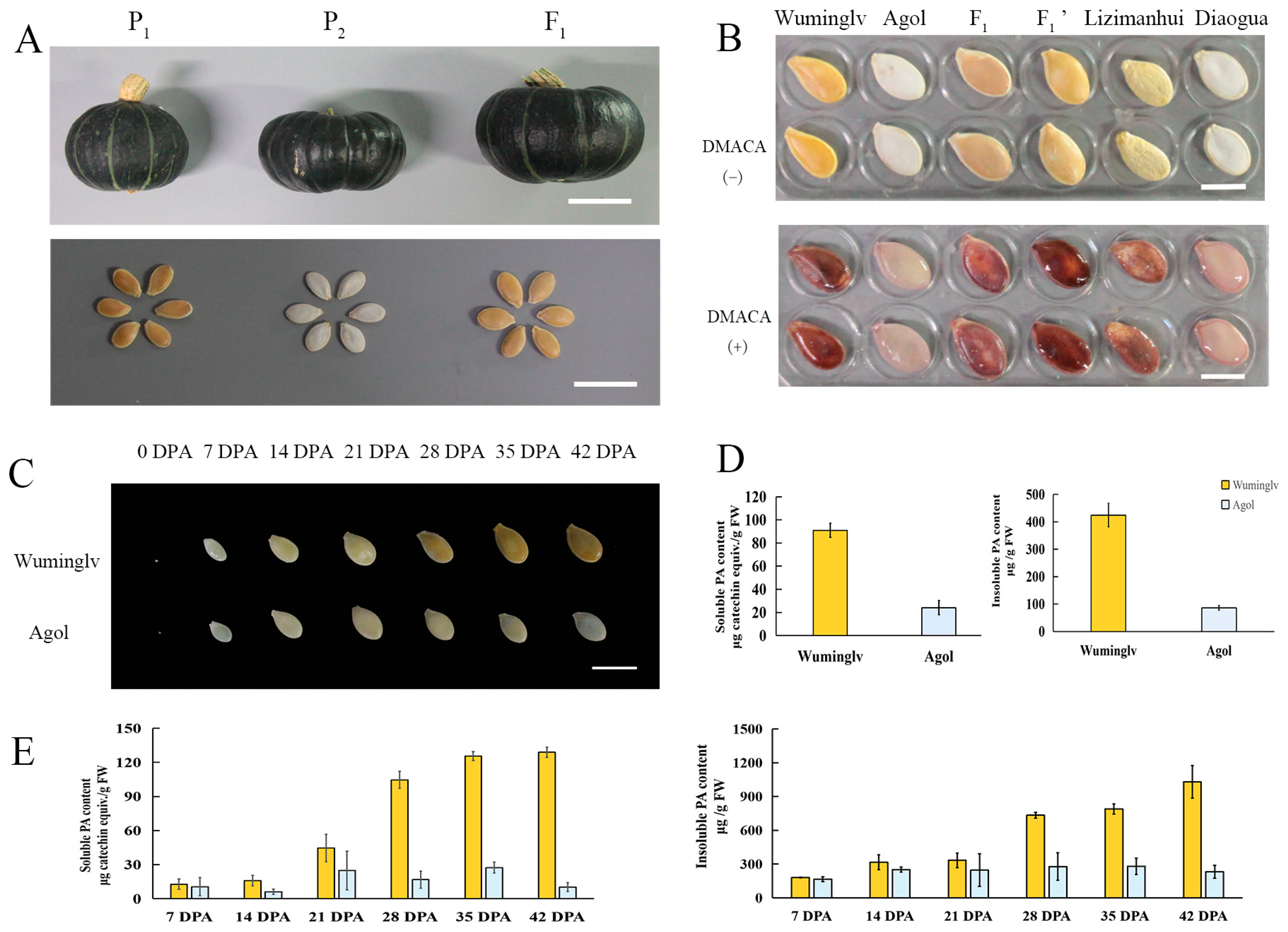 Ijms 22 02972 g001 Ijms 22 02972 g001