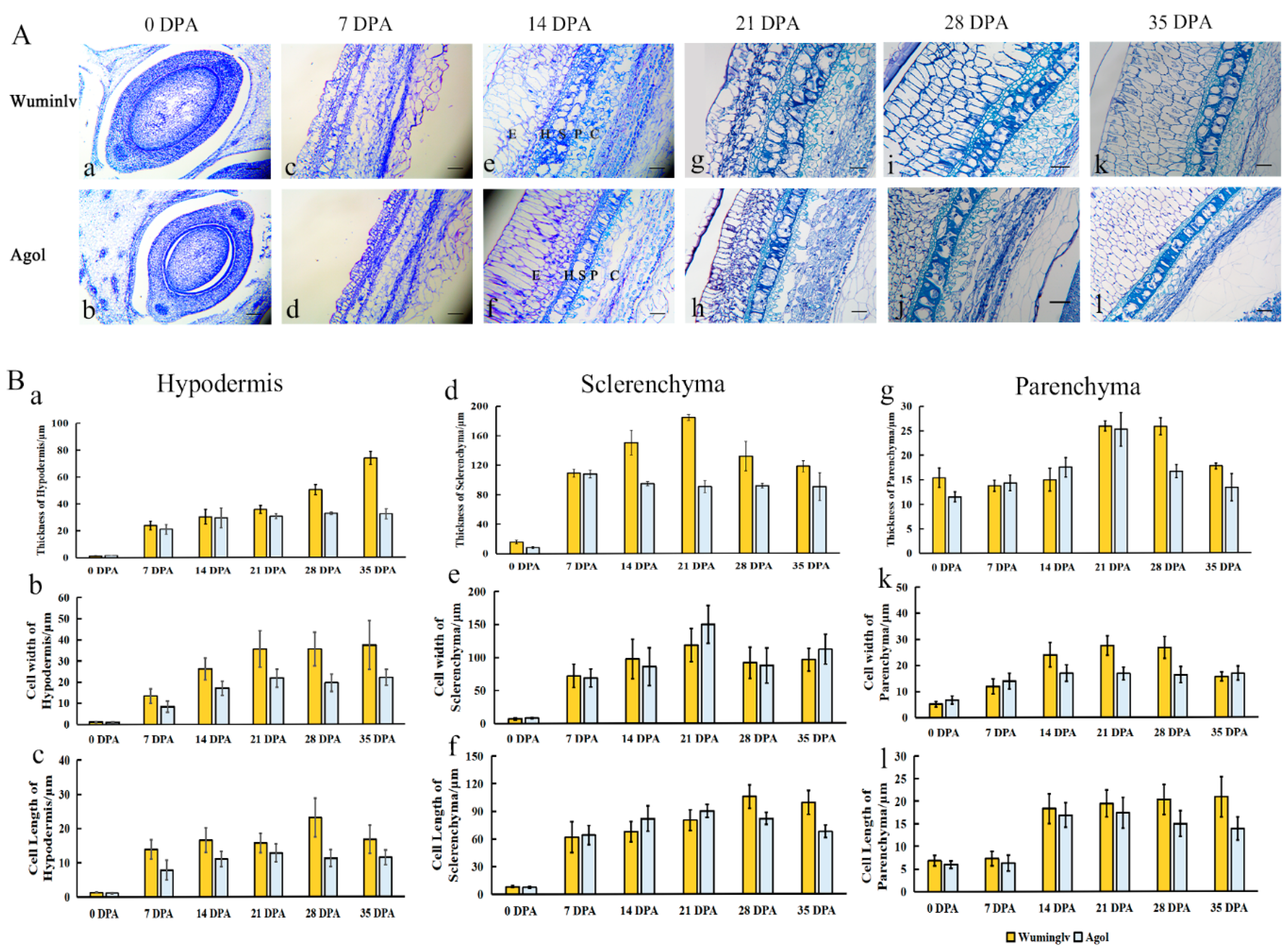 Ijms 22 02972 g002 Ijms 22 02972 g002