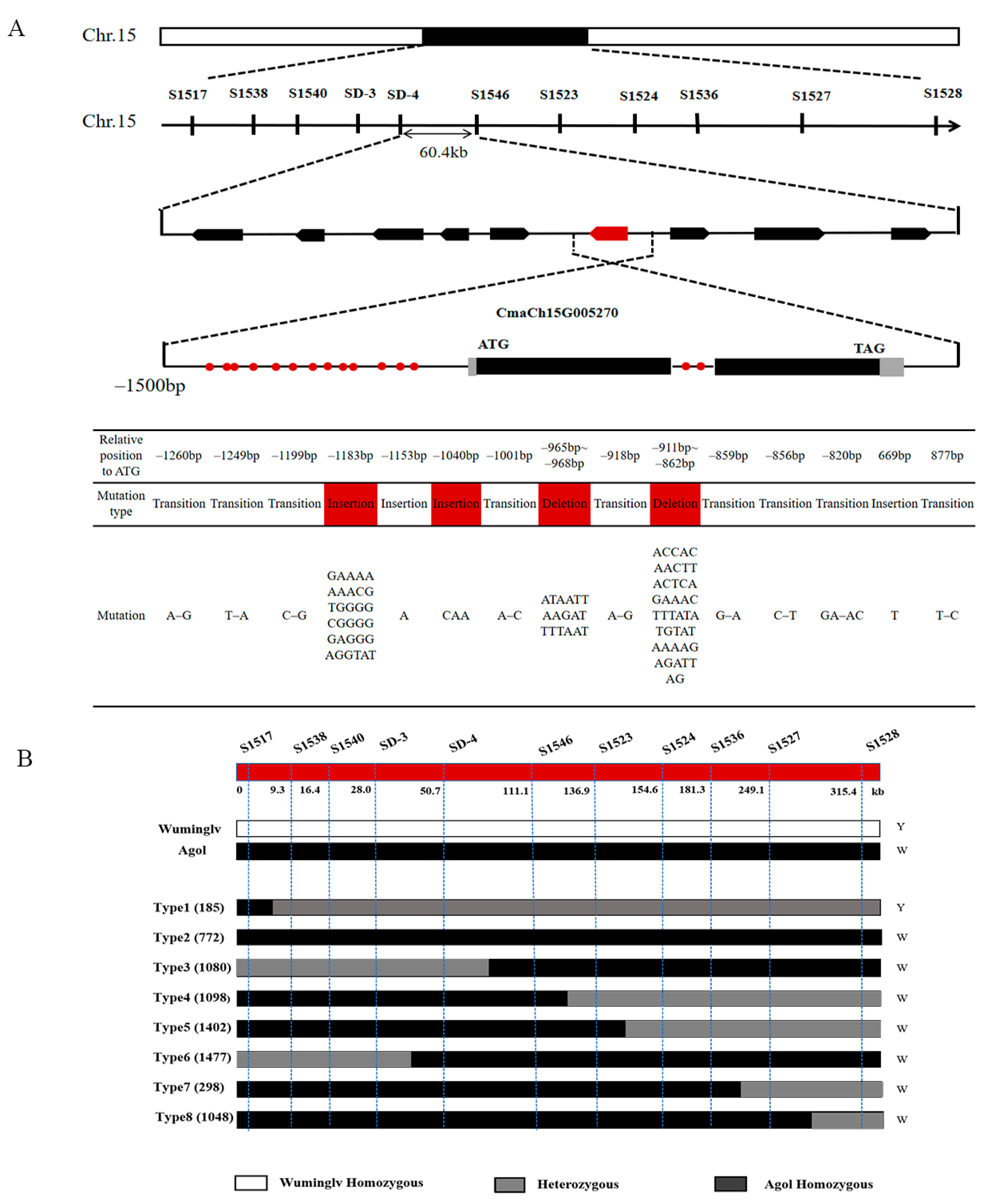 Ijms 22 02972 g003 Ijms 22 02972 g003