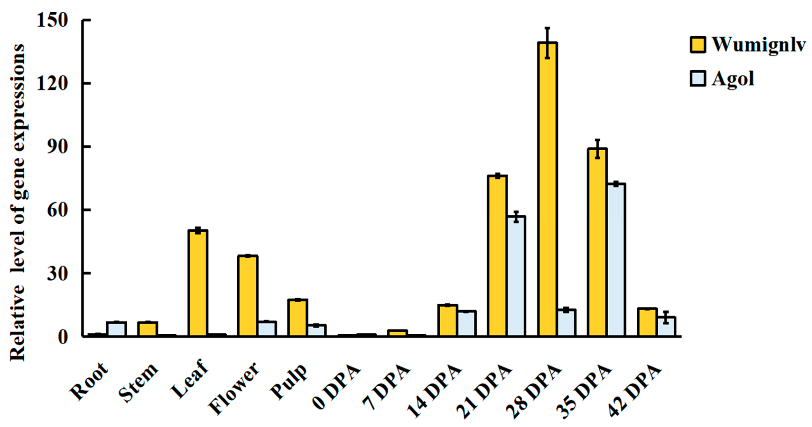 Ijms 22 02972 g004 Ijms 22 02972 g004