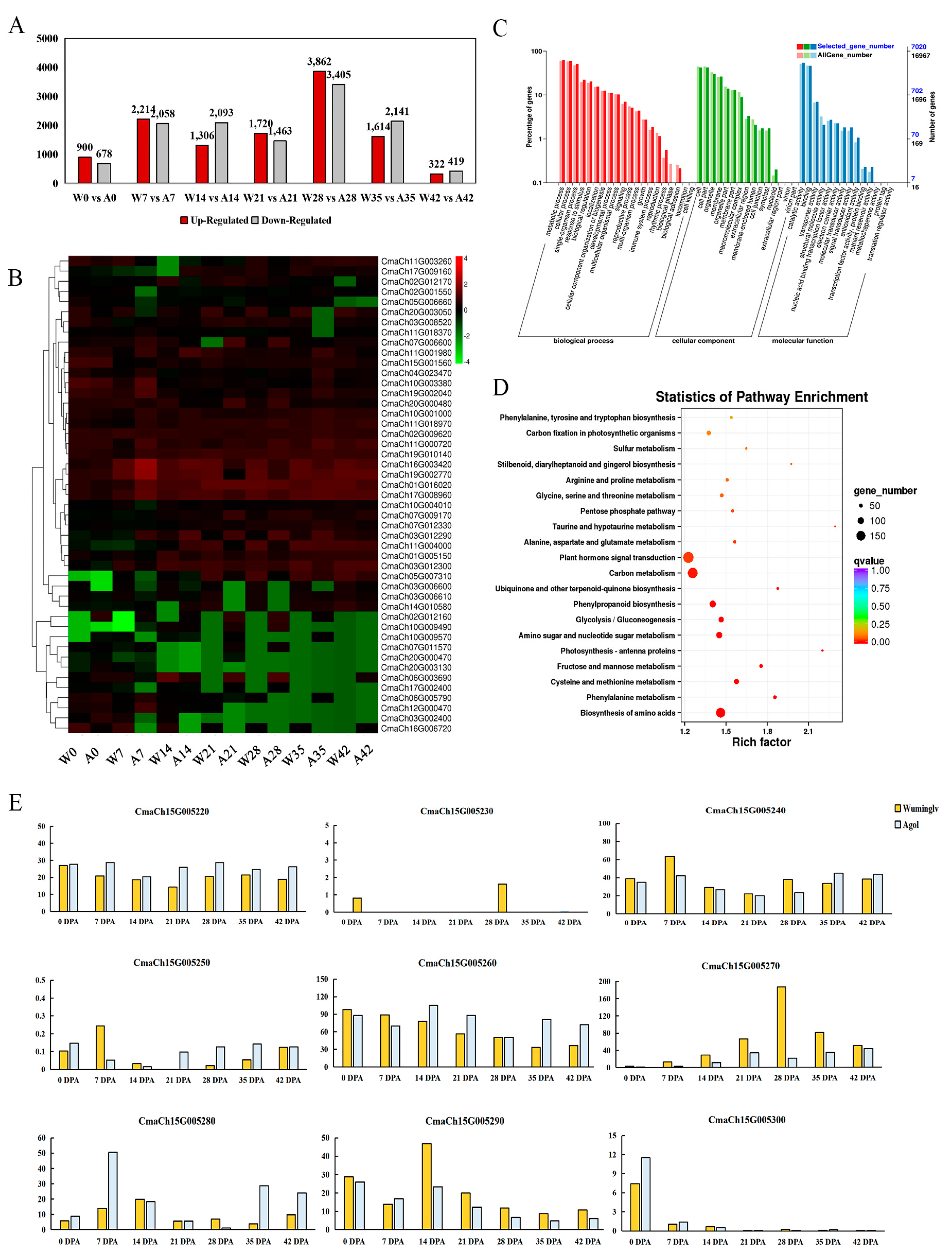 Ijms 22 02972 g005 Ijms 22 02972 g005