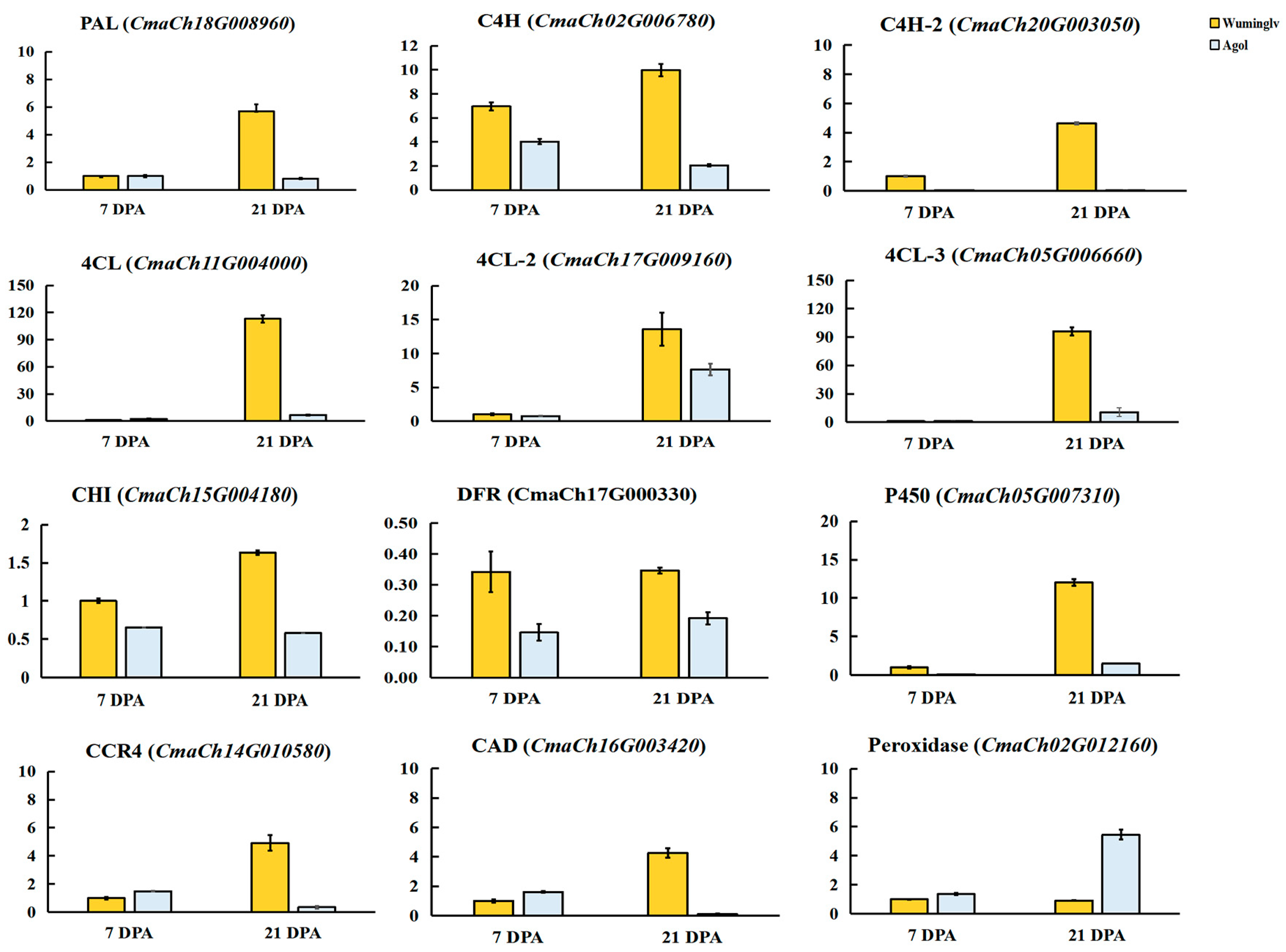 Ijms 22 02972 g006 Ijms 22 02972 g006