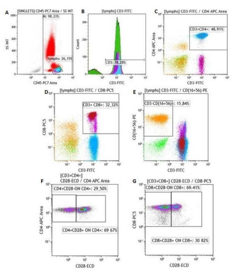 Ijms 22 02975 g005 Ijms 22 02975 g005