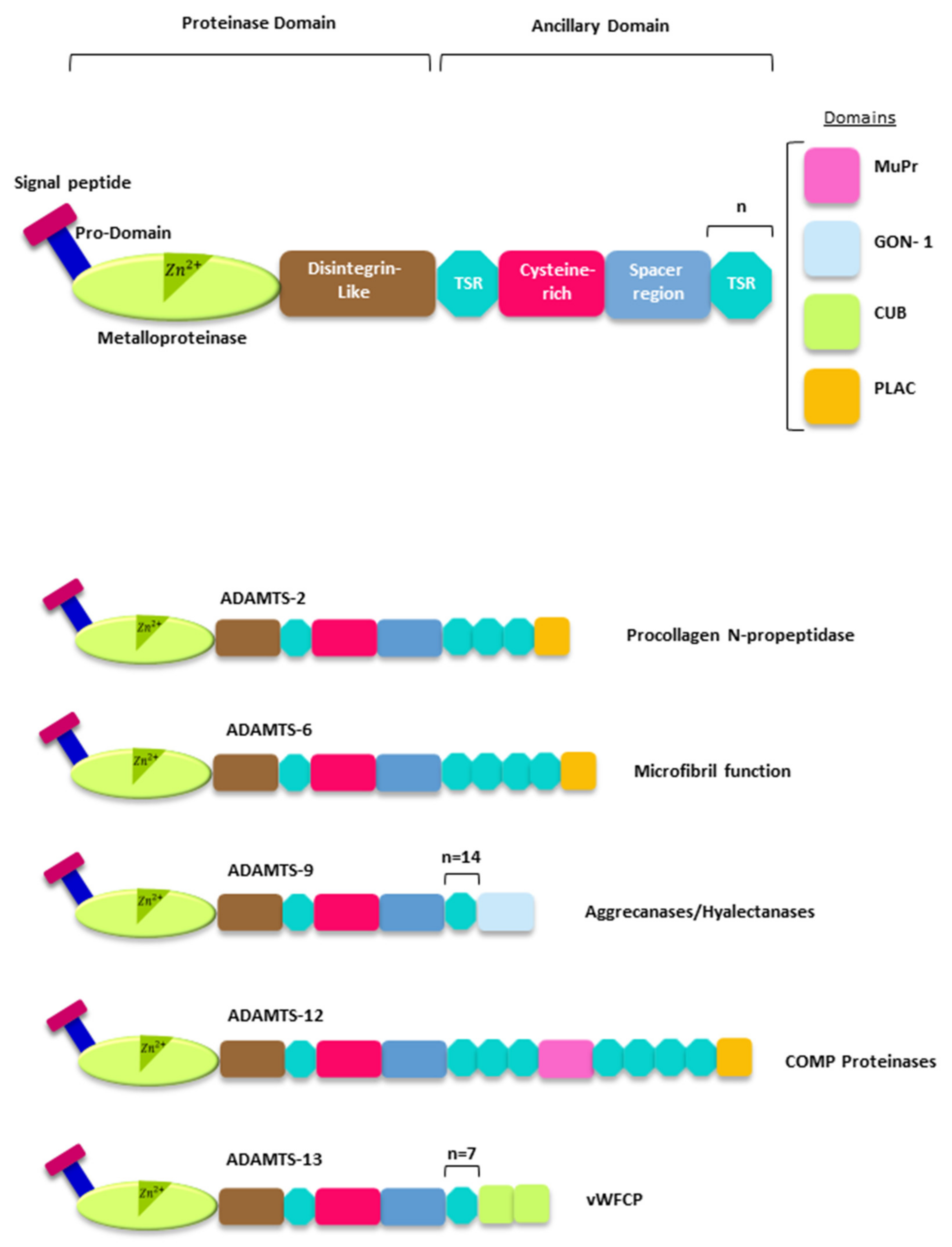 Ijms 22 02988 g002 Ijms 22 02988 g002