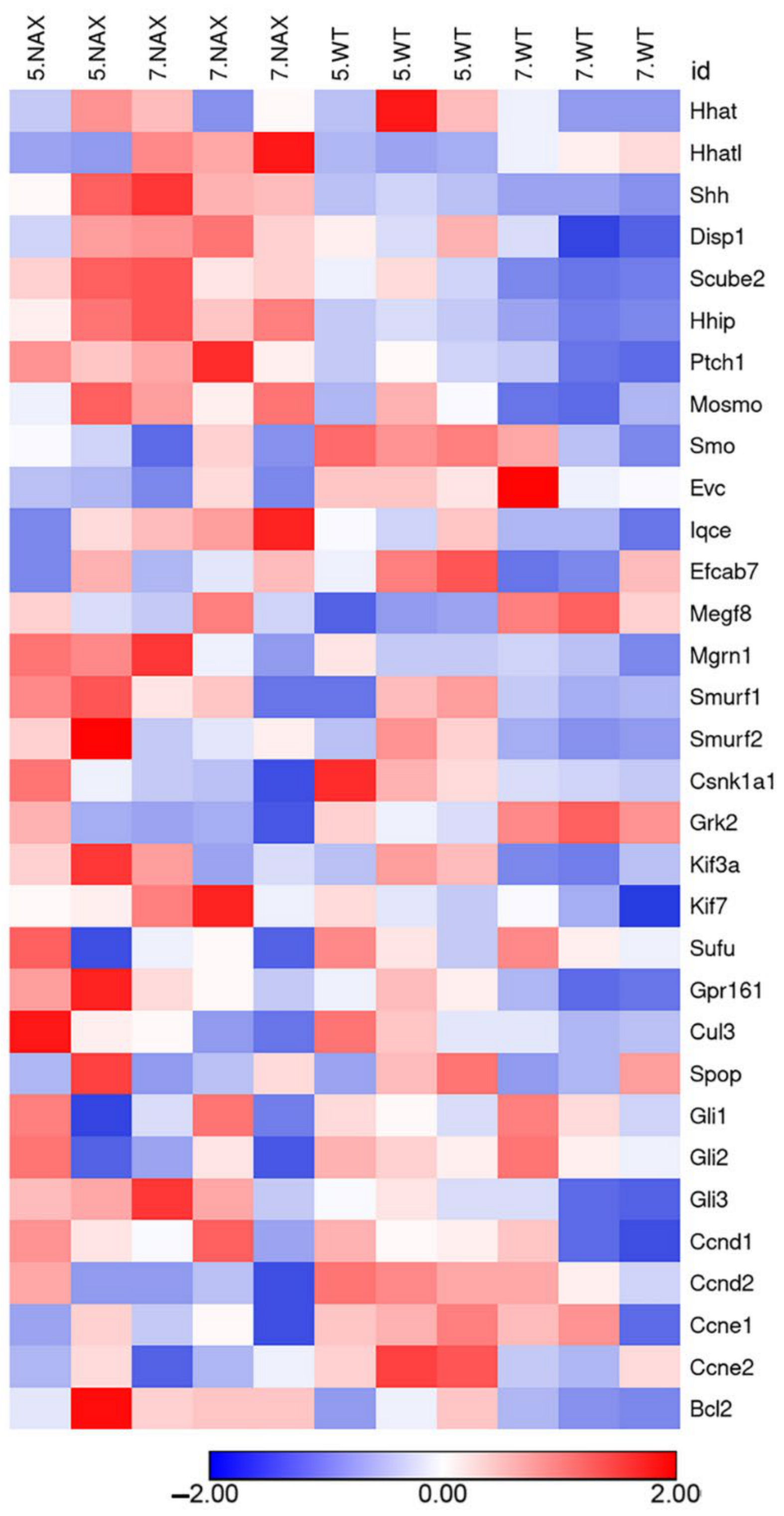 Ijms 22 02994 g007 Ijms 22 02994 g007
