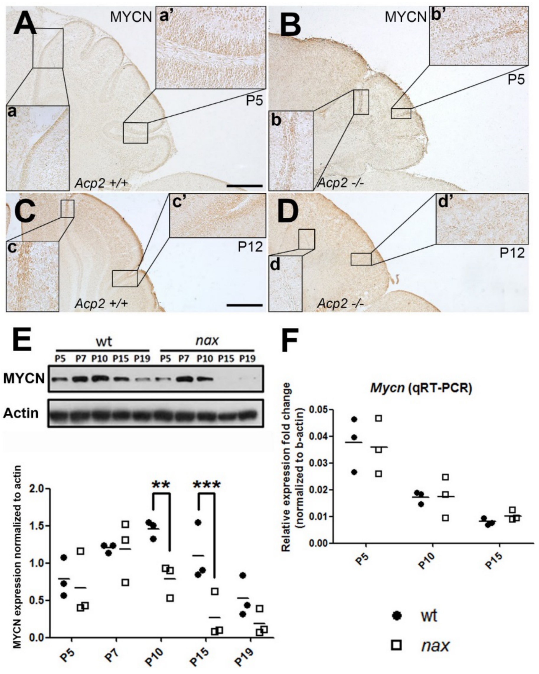 Ijms 22 02994 g008 Ijms 22 02994 g008