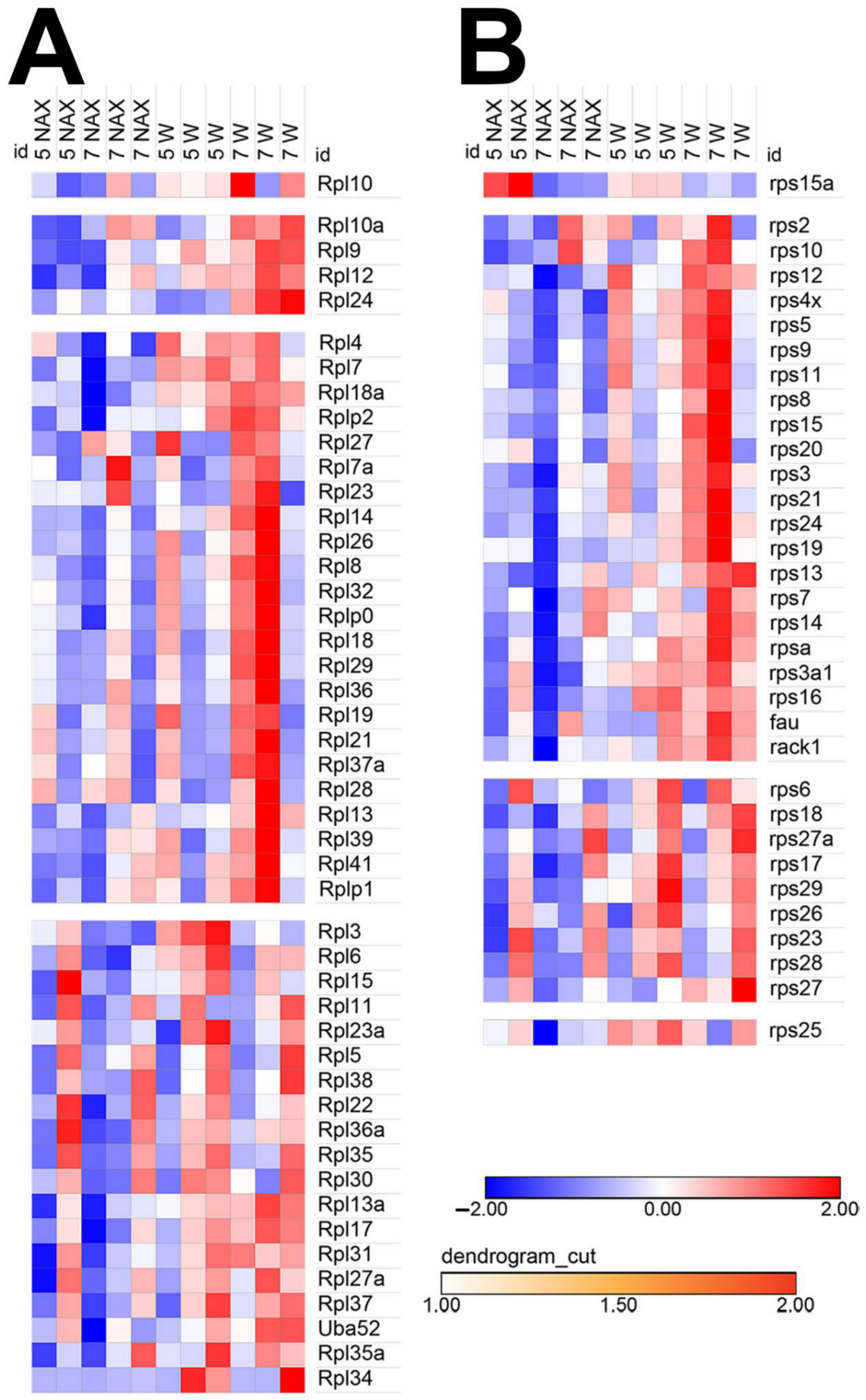 Ijms 22 02994 g009 Ijms 22 02994 g009