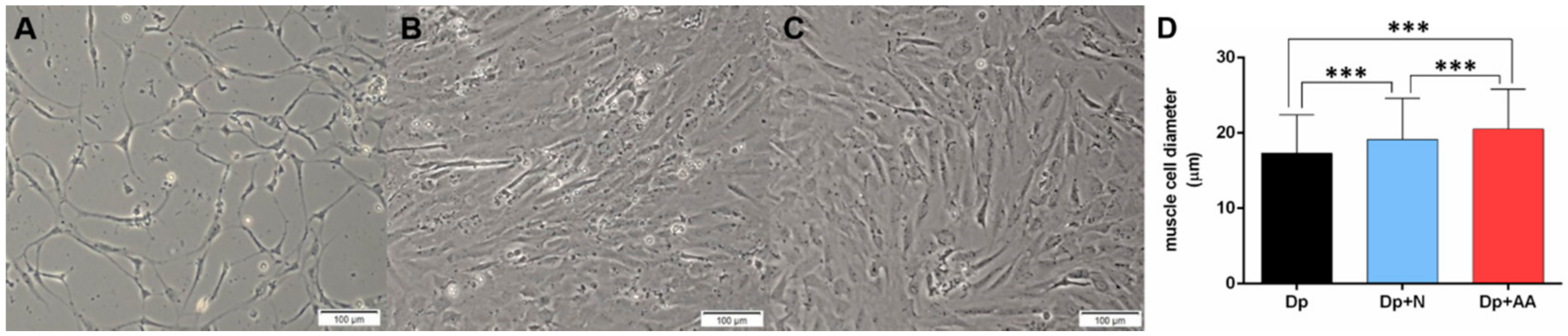 Ijms 22 02995 g001 Ijms 22 02995 g001