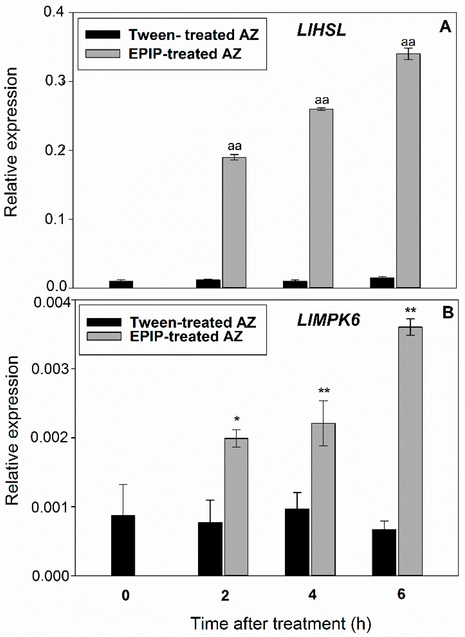 Ijms 22 03001 g001 Ijms 22 03001 g001