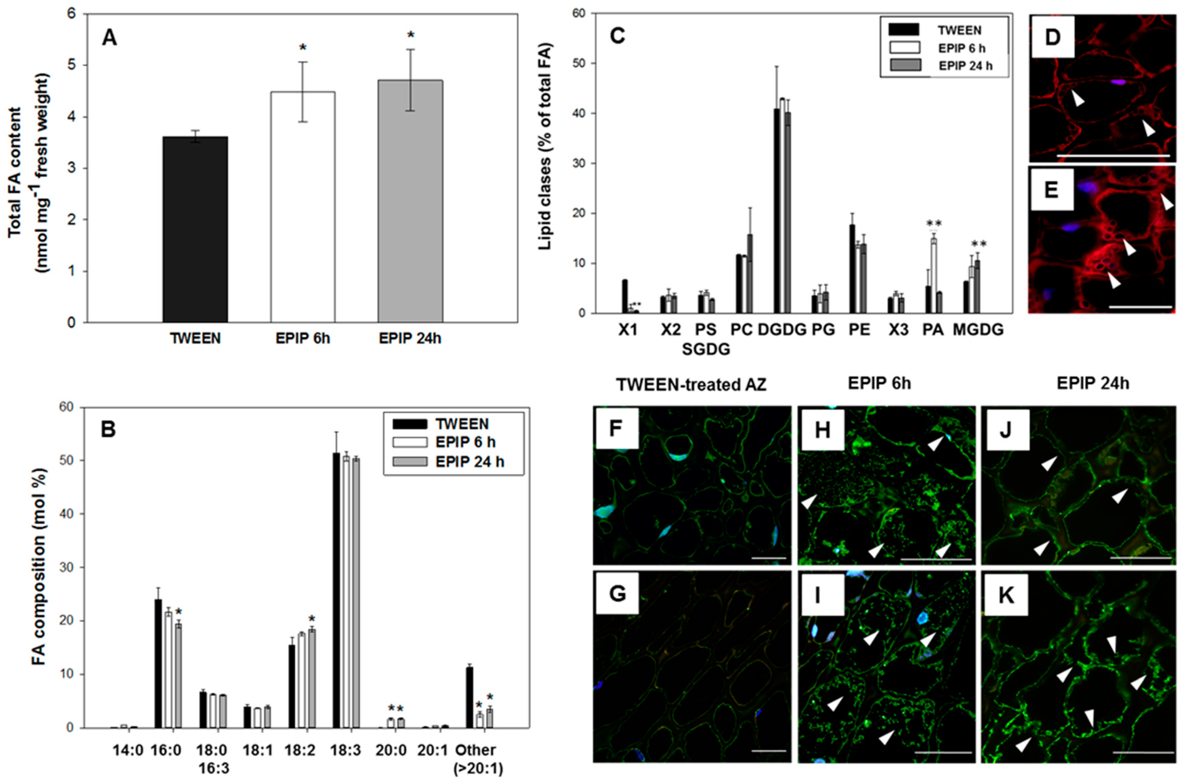 Ijms 22 03001 g006 Ijms 22 03001 g006
