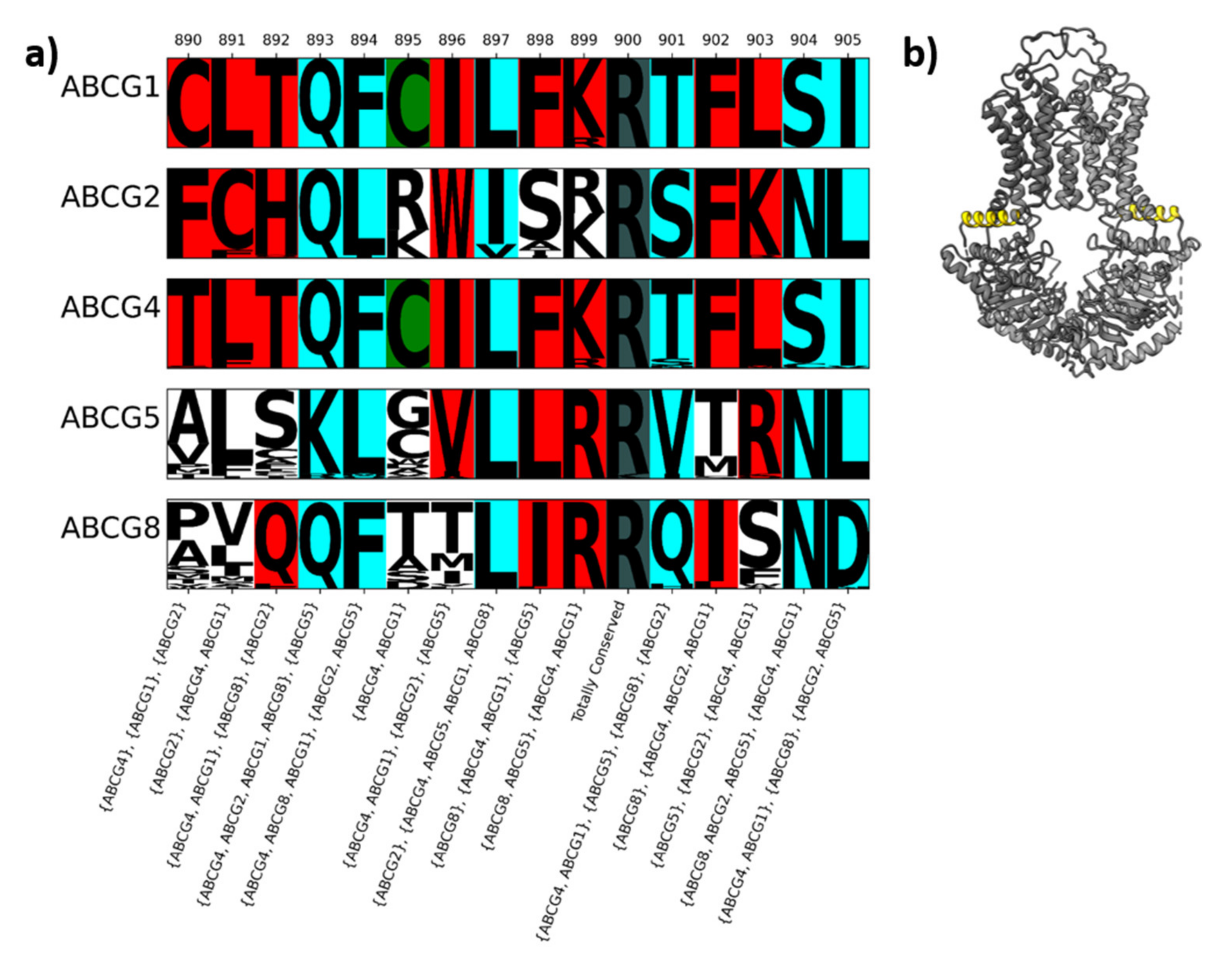 Ijms 22 03012 g002 Ijms 22 03012 g002