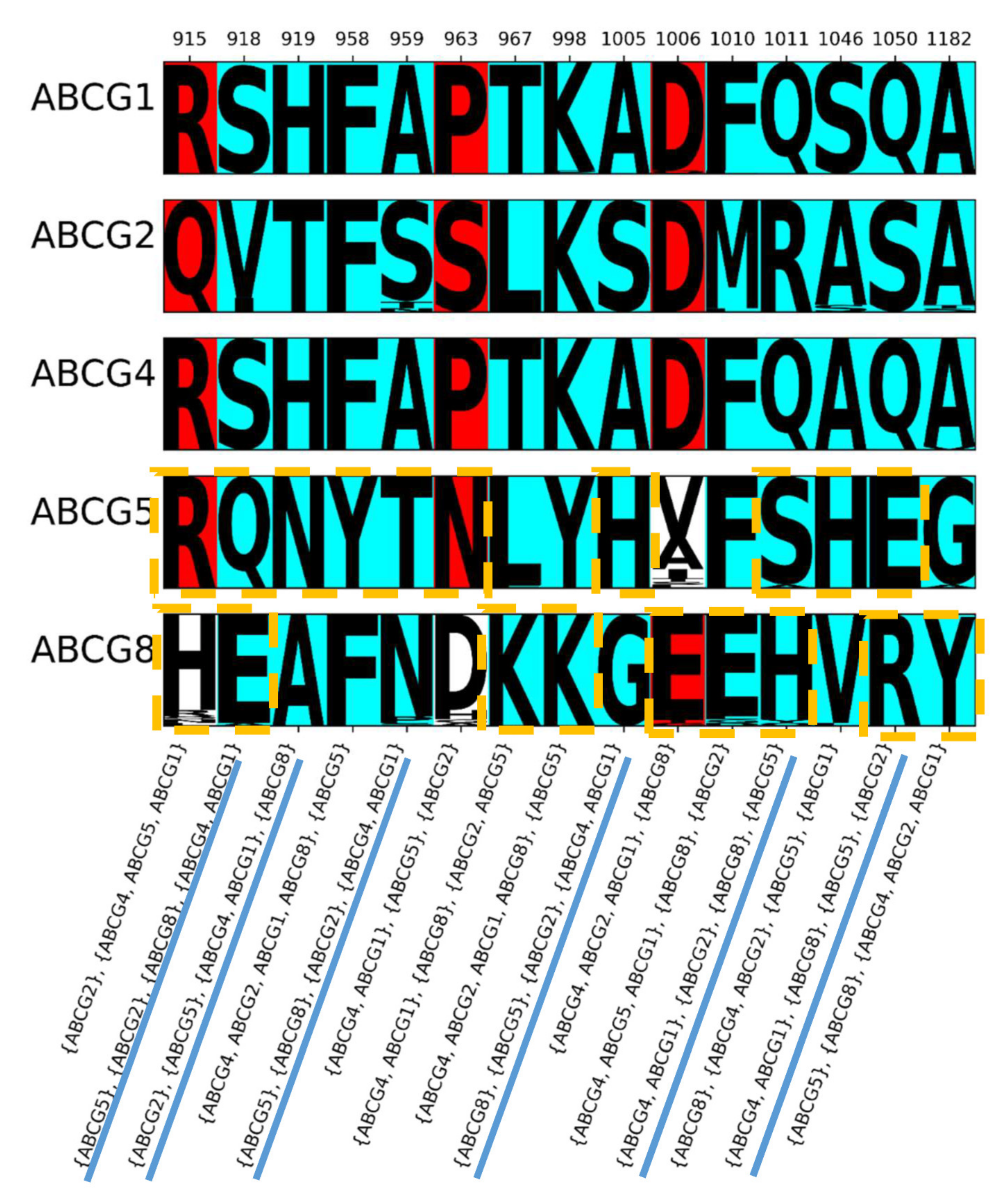 Ijms 22 03012 g004 Ijms 22 03012 g004