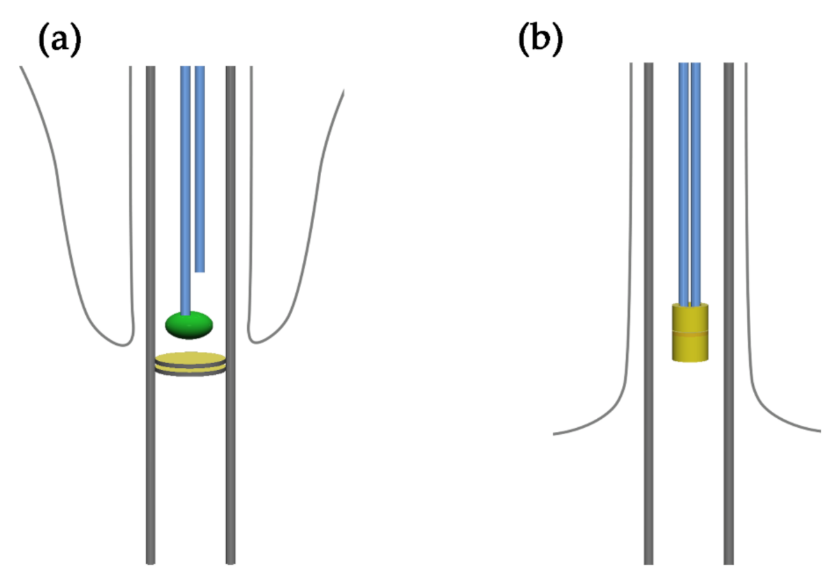 Ijms 22 03013 g002 Ijms 22 03013 g002