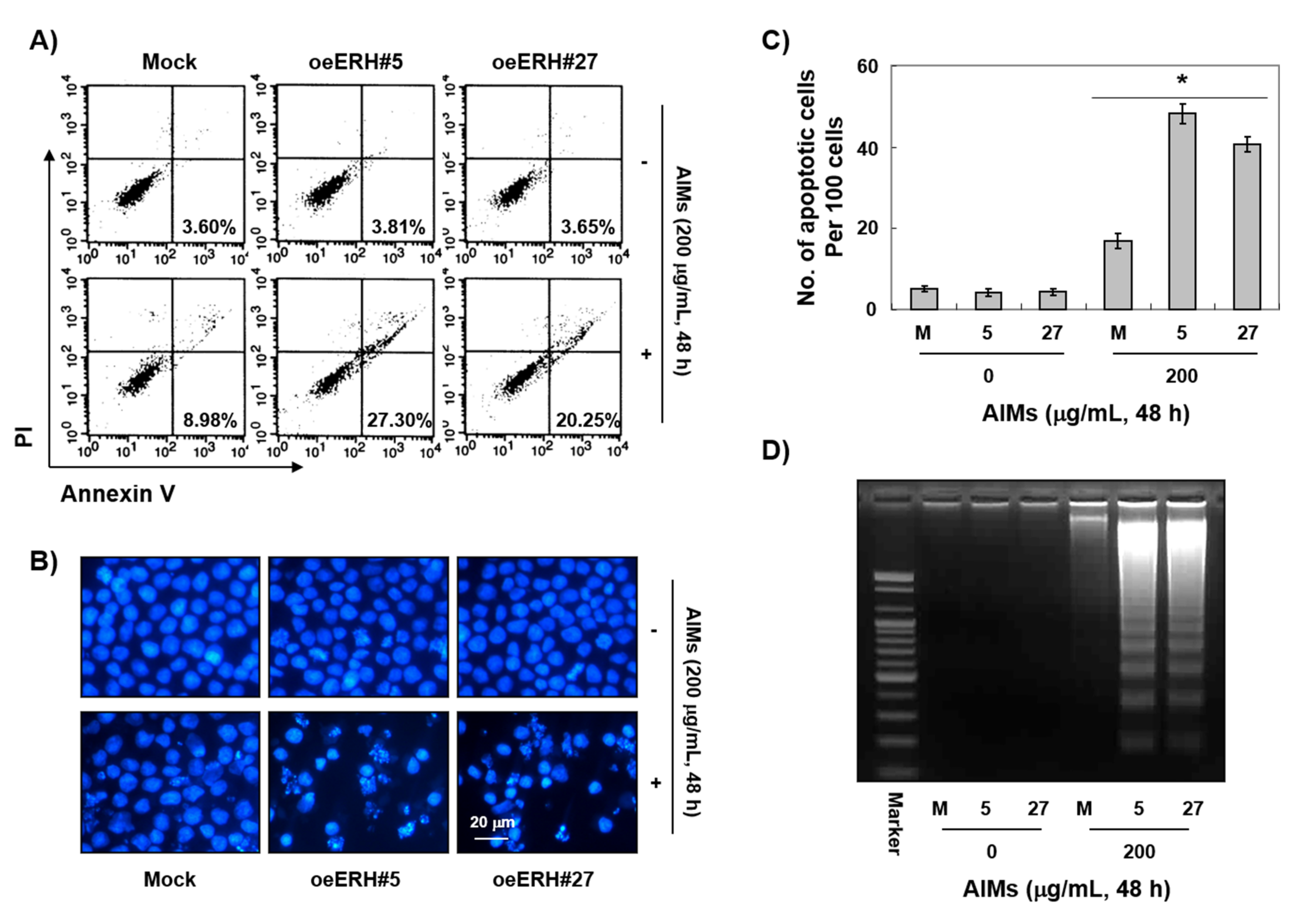 Ijms 22 03030 g002 Ijms 22 03030 g002