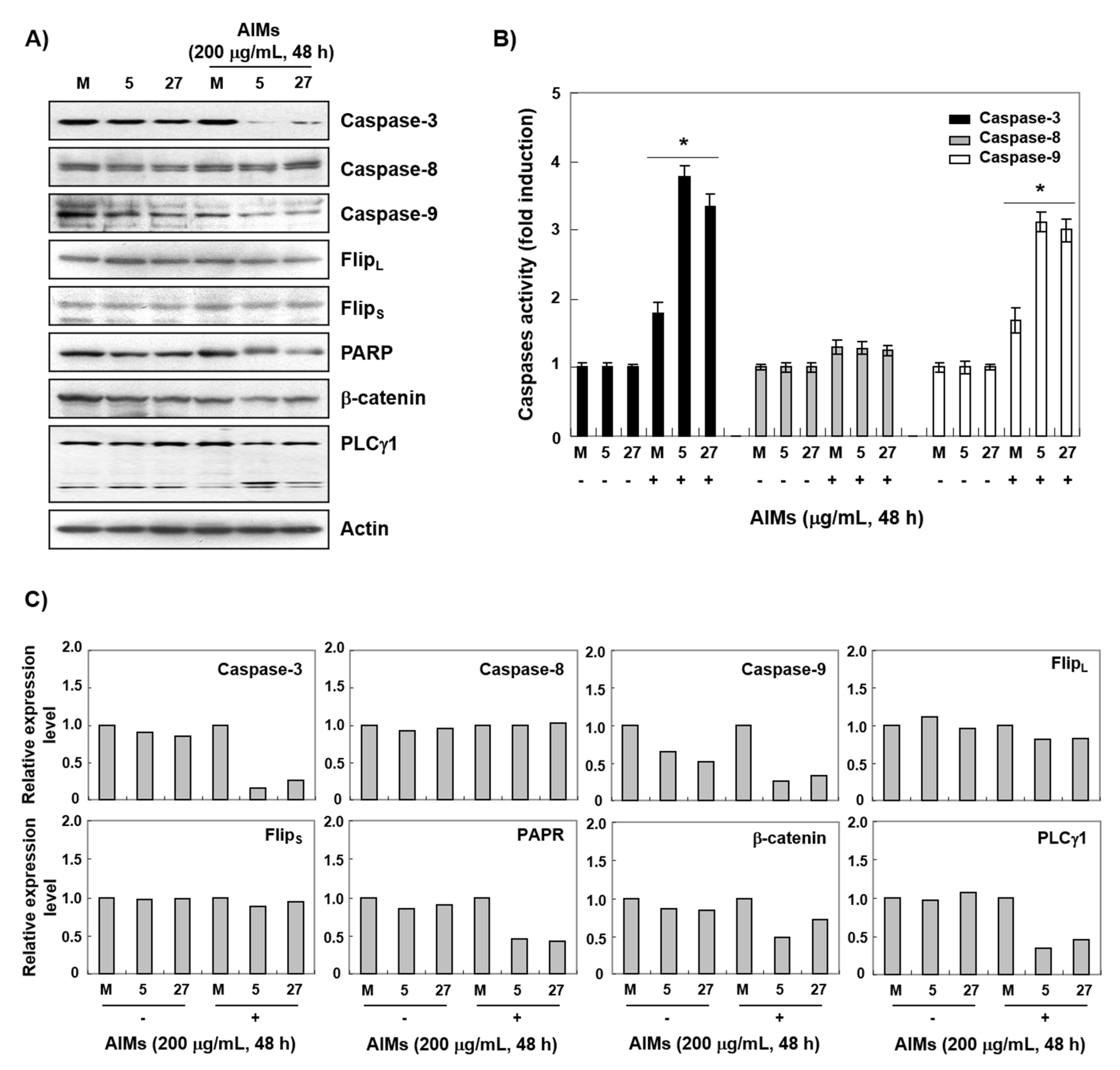 Ijms 22 03030 g003 Ijms 22 03030 g003