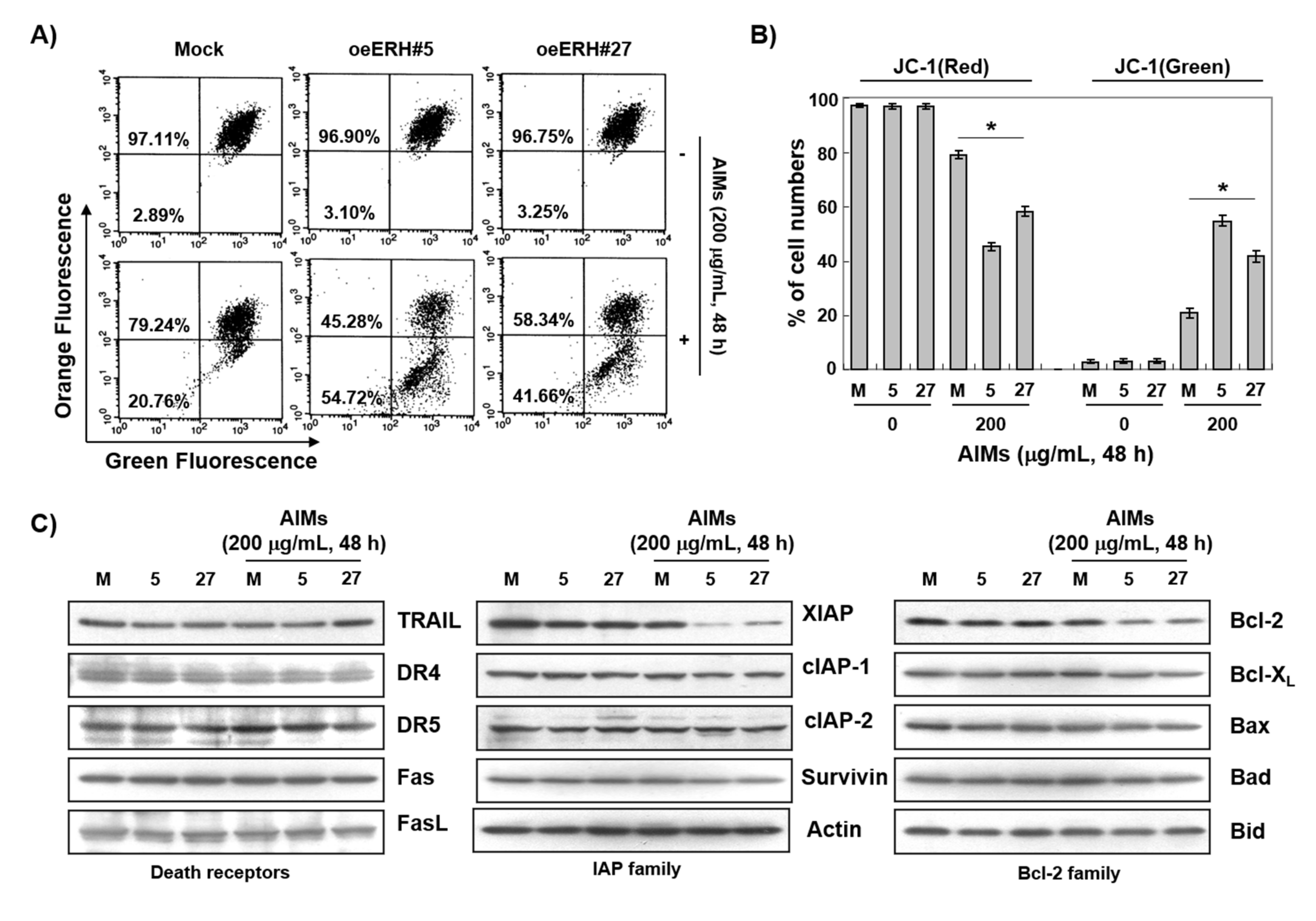 Ijms 22 03030 g005a Ijms 22 03030 g005a