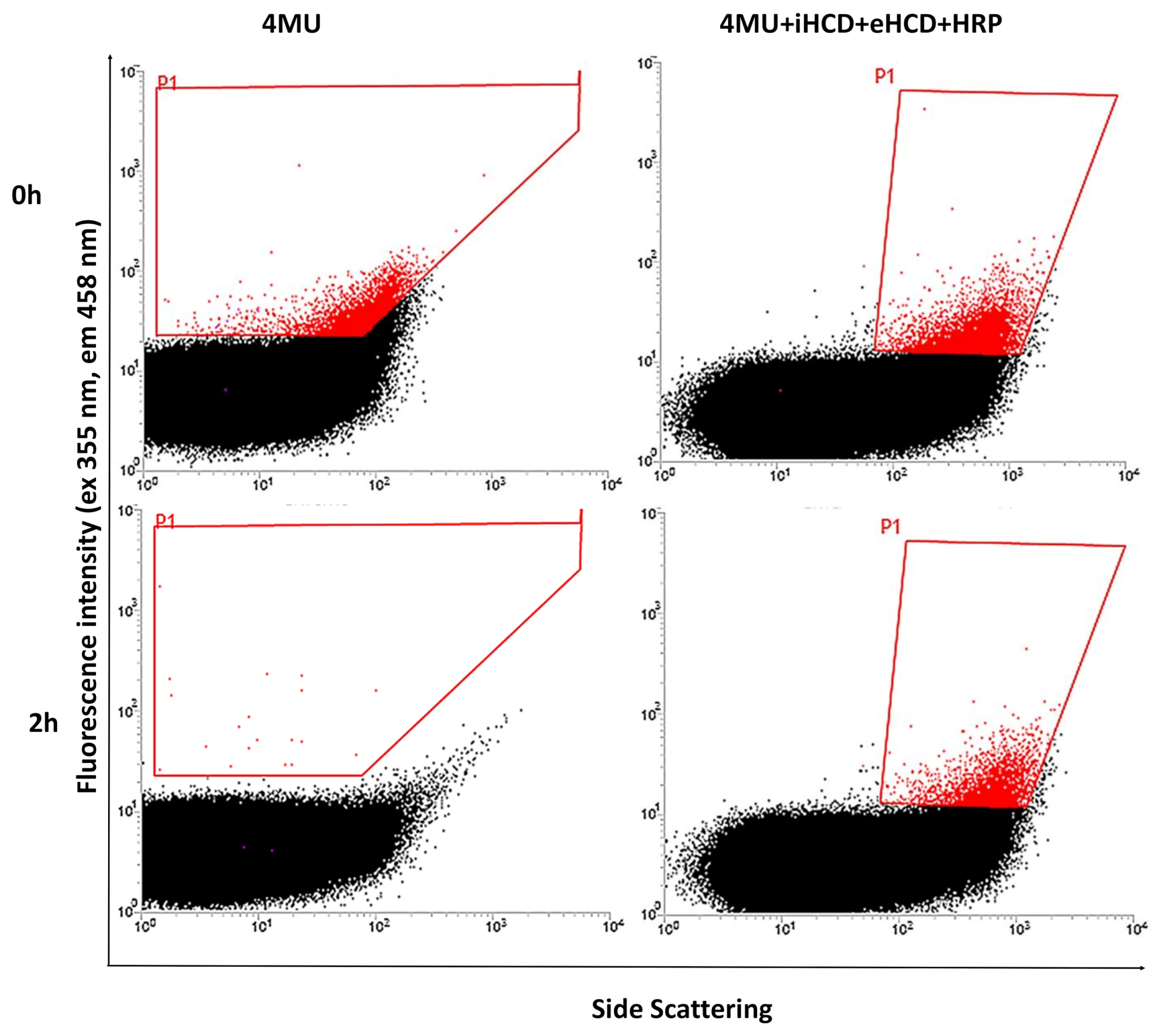 Ijms 22 03041 g003 Ijms 22 03041 g003