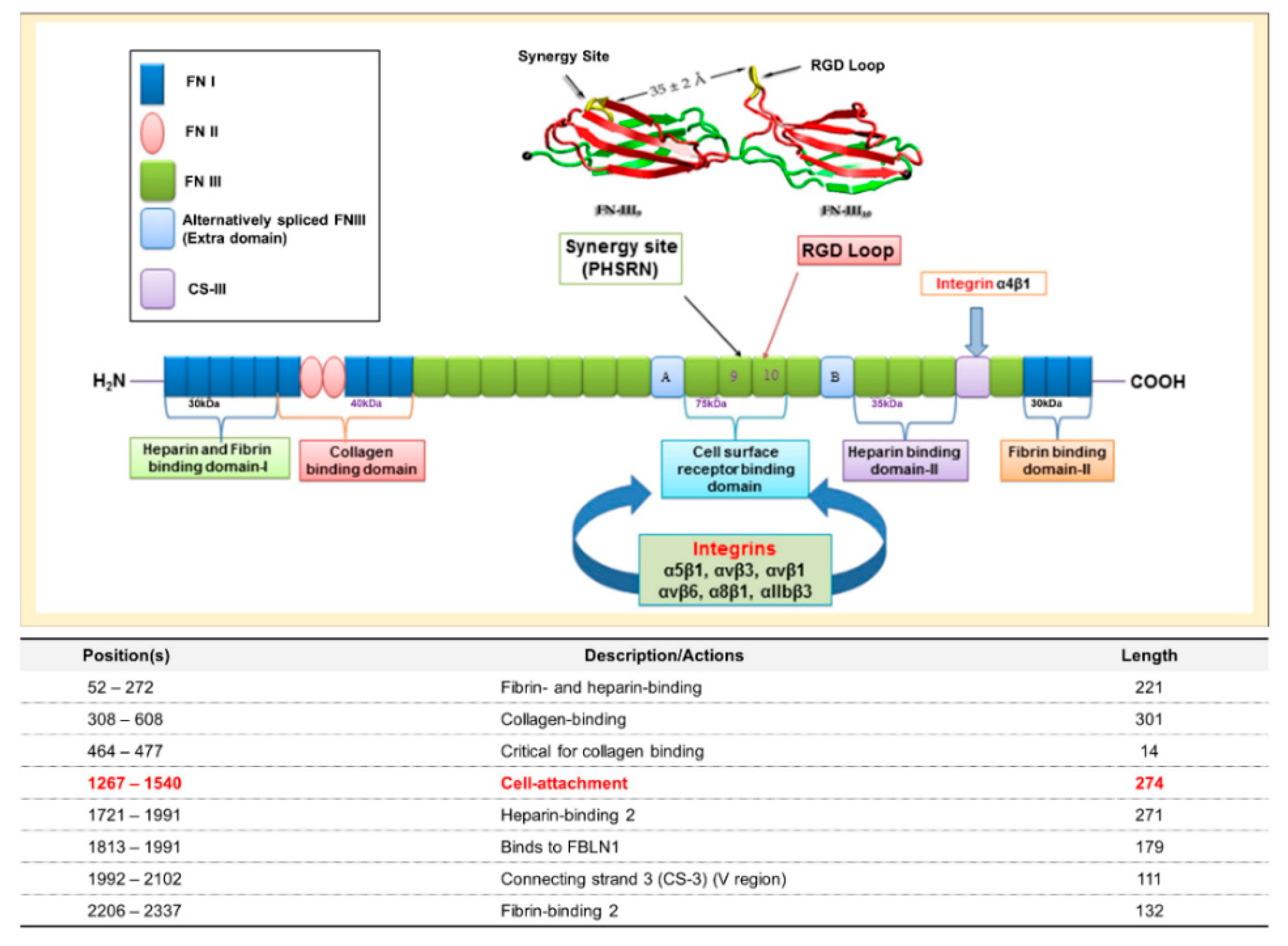 Ijms 22 03042 g001 Ijms 22 03042 g001