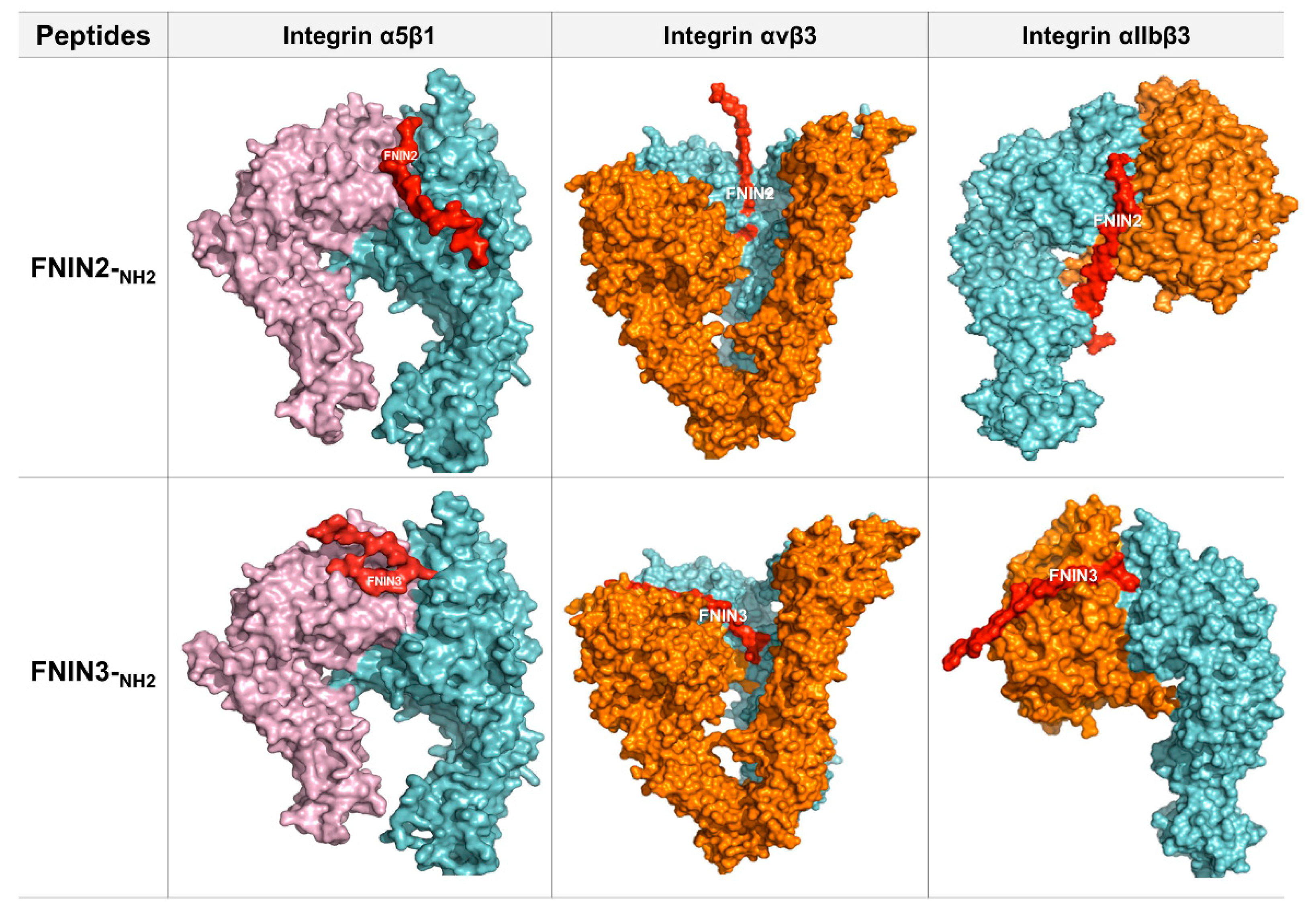 Ijms 22 03042 g002 Ijms 22 03042 g002