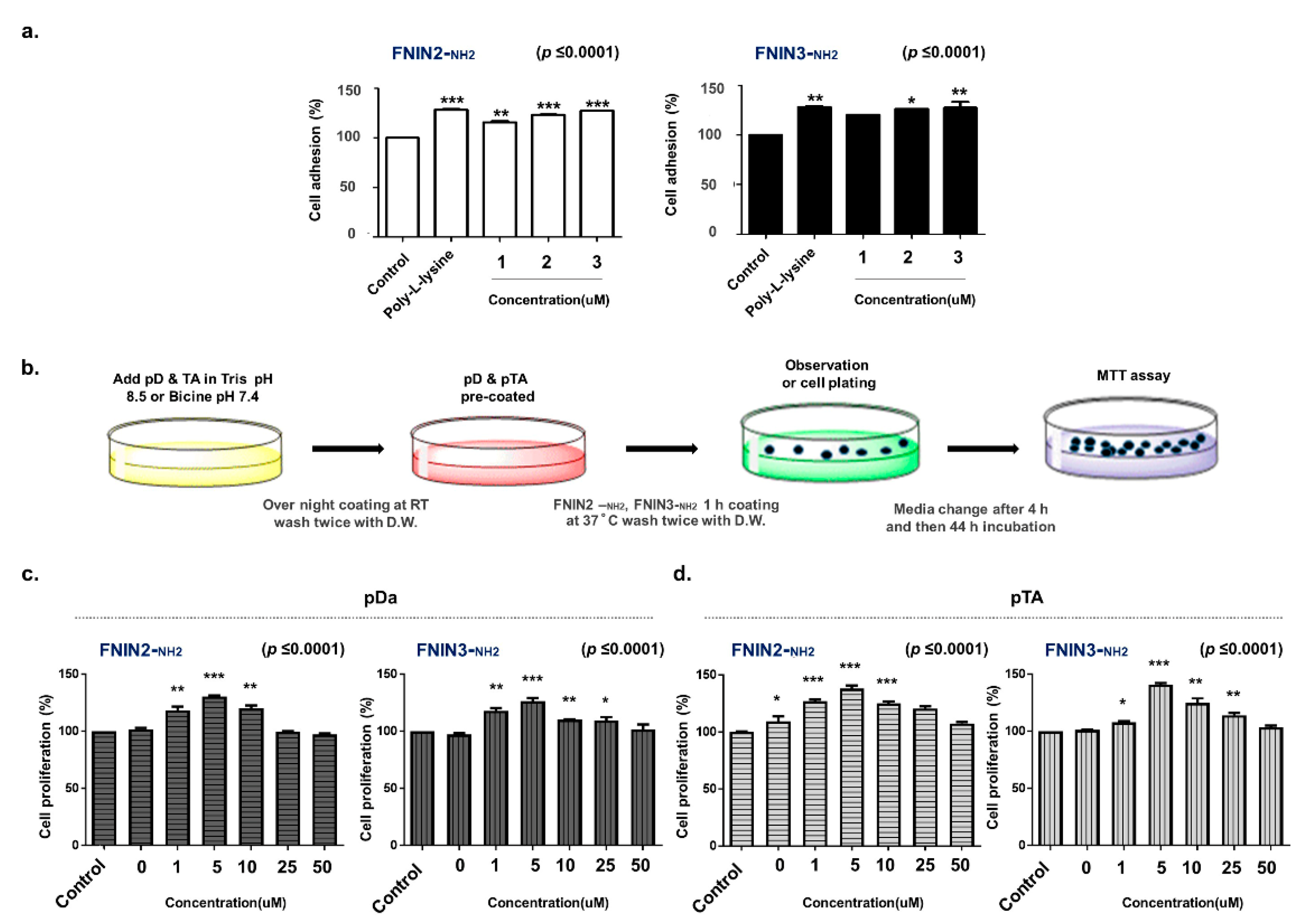 Ijms 22 03042 g004 Ijms 22 03042 g004