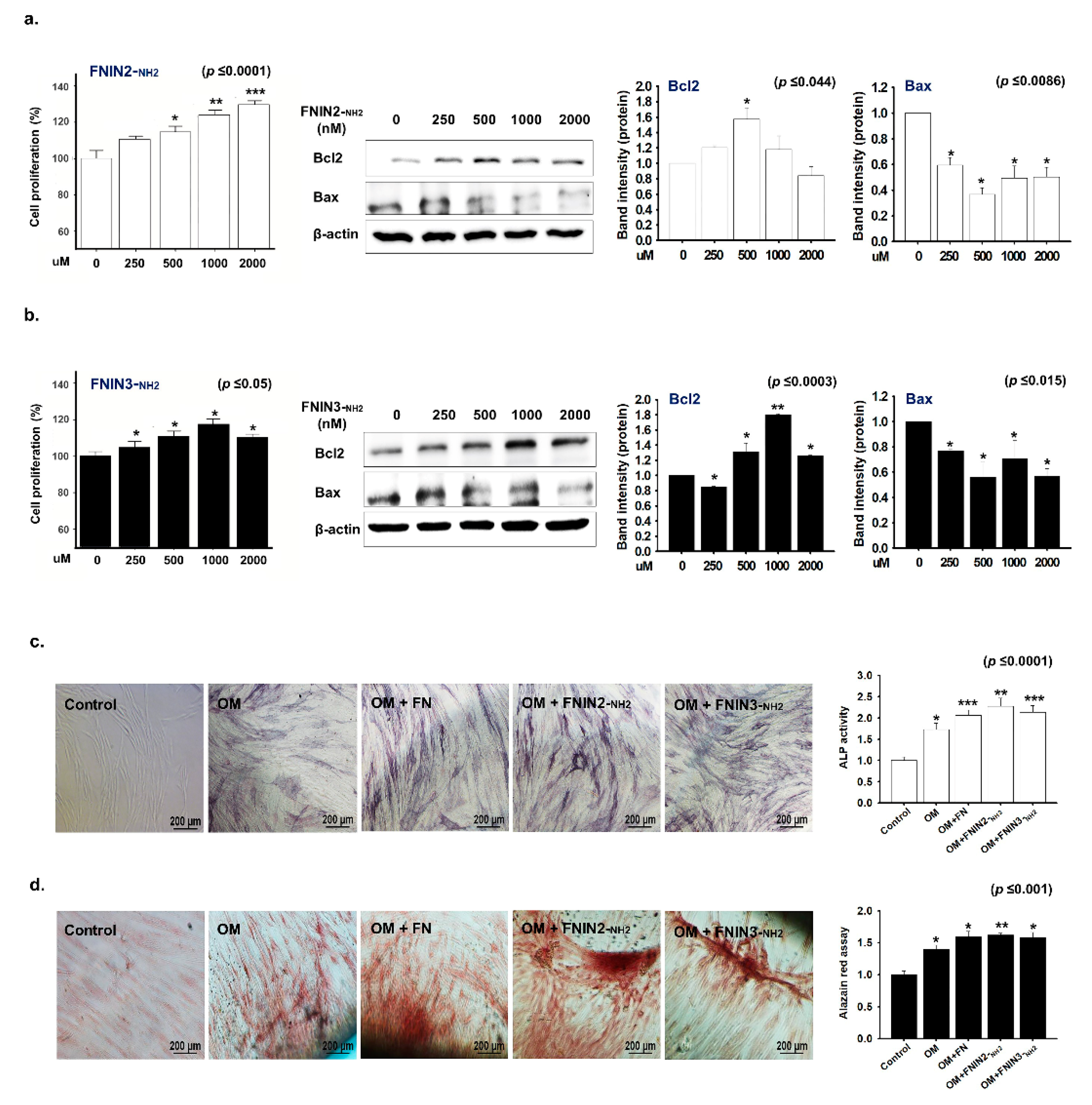 Ijms 22 03042 g005 Ijms 22 03042 g005