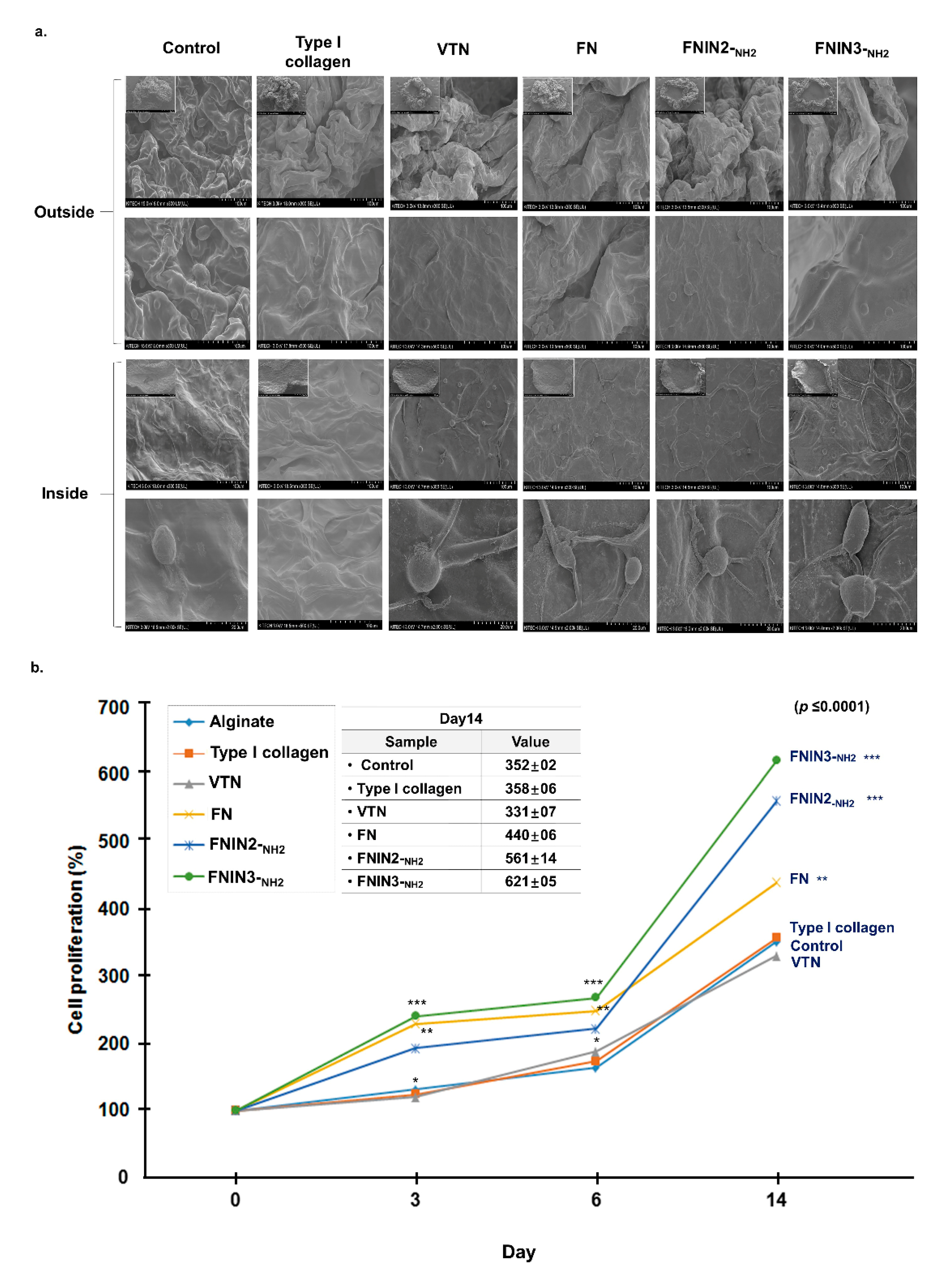 Ijms 22 03042 g006 Ijms 22 03042 g006