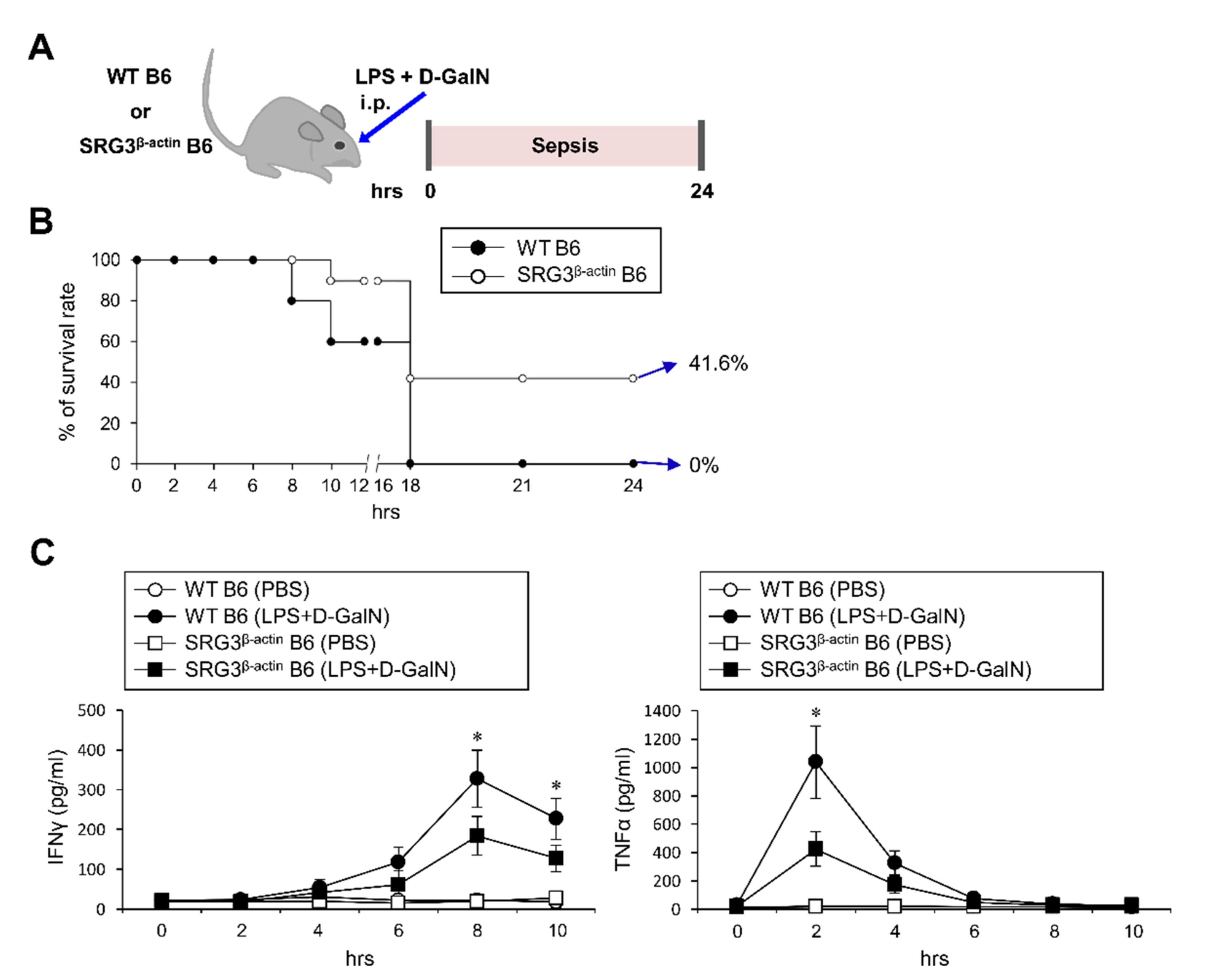 Ijms 22 03043 g001 Ijms 22 03043 g001