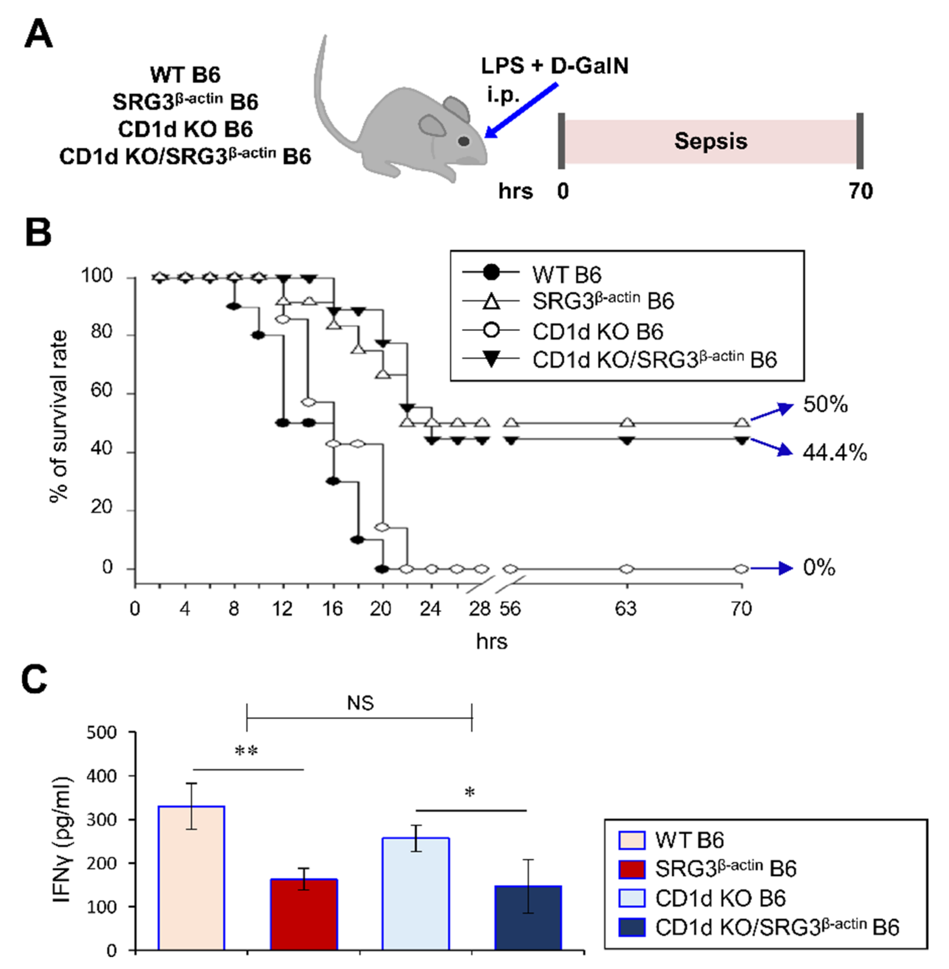 Ijms 22 03043 g004 Ijms 22 03043 g004
