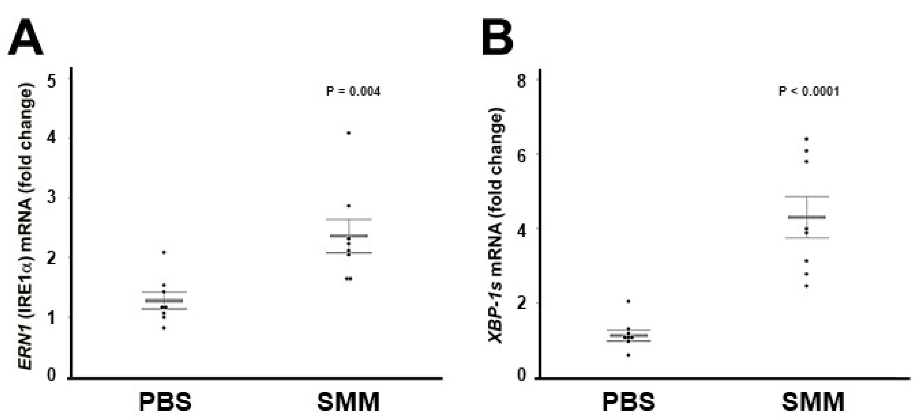 Ijms 22 03063 g002 Ijms 22 03063 g002