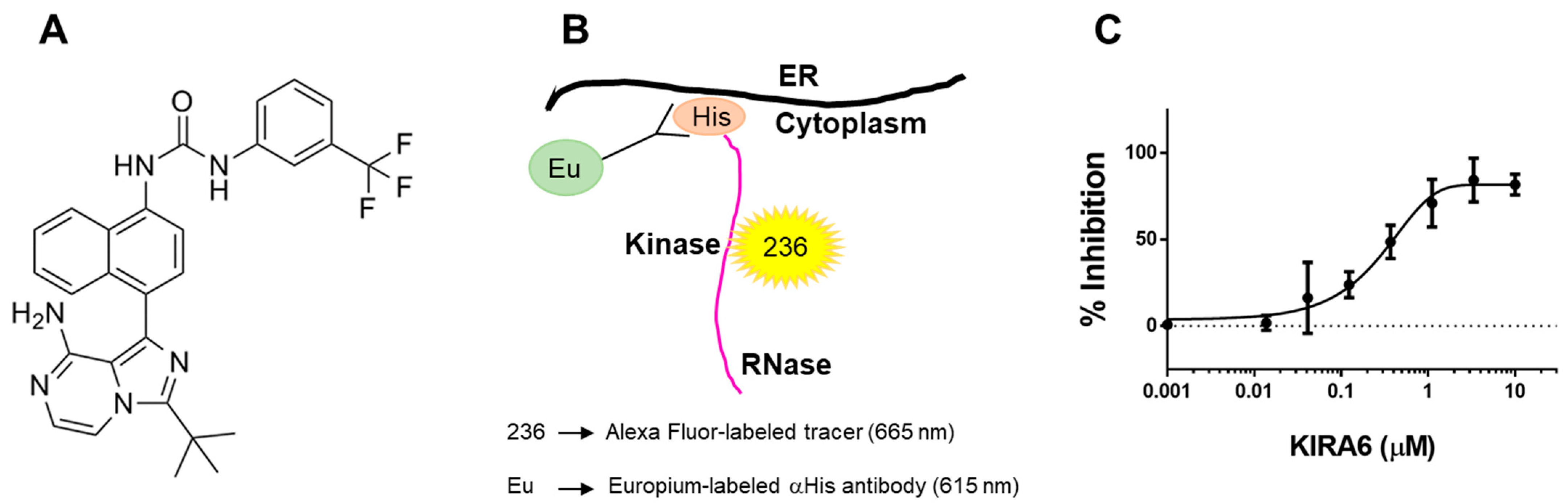 Ijms 22 03063 g003 Ijms 22 03063 g003