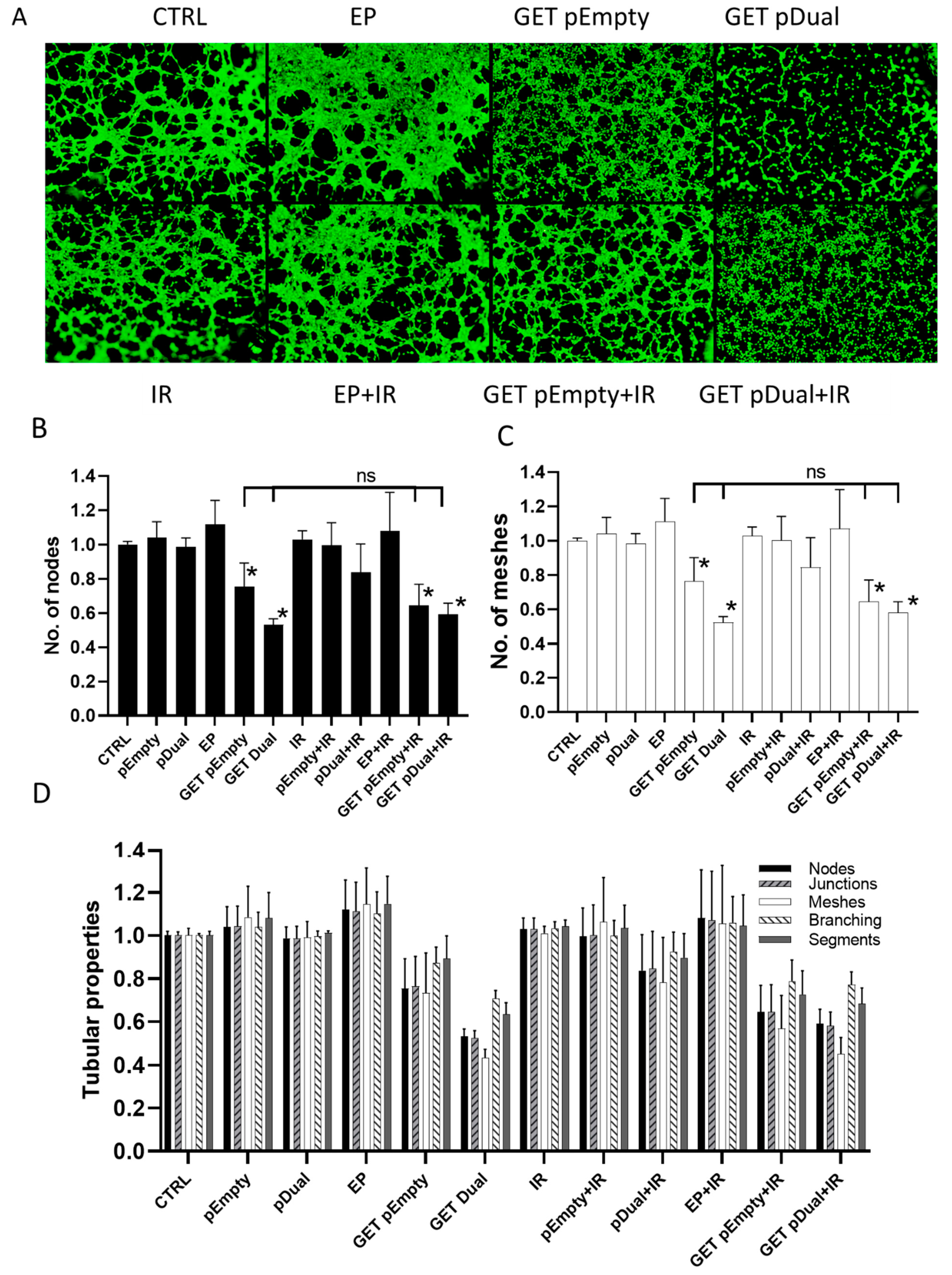 Ijms 22 03069 g003 Ijms 22 03069 g003