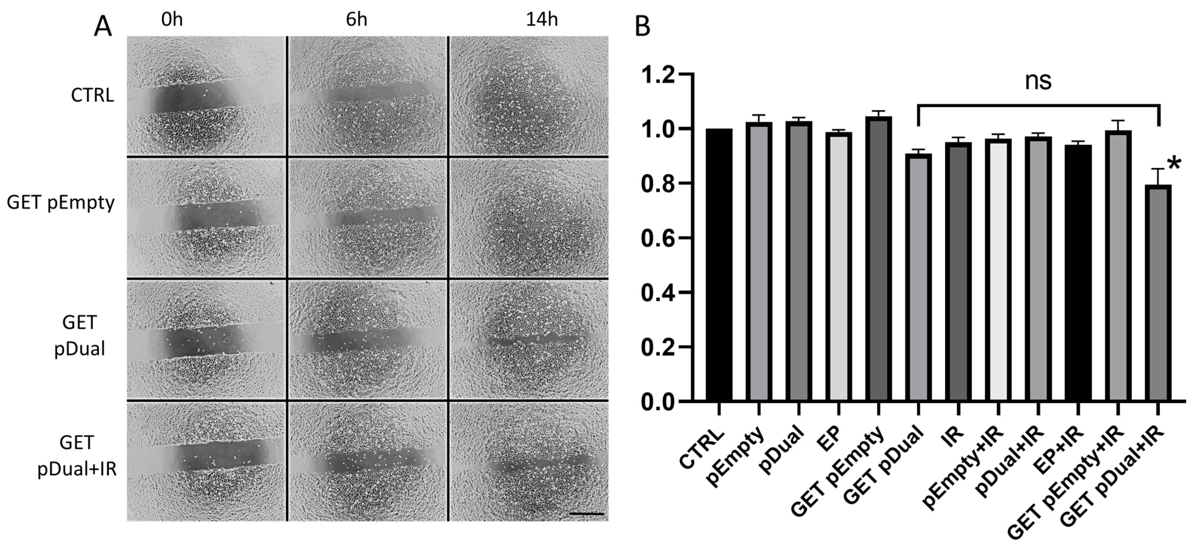 Ijms 22 03069 g004 Ijms 22 03069 g004