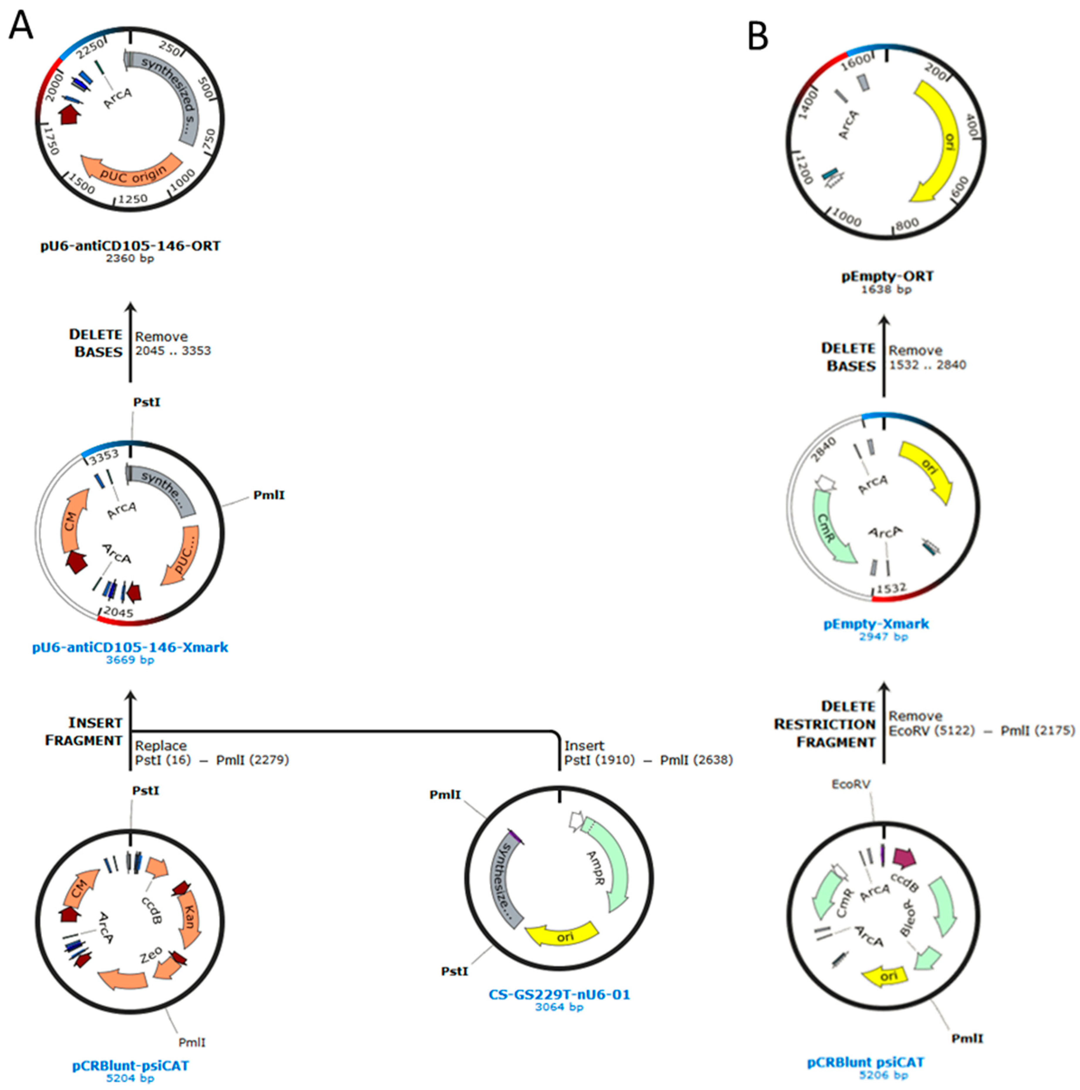 Ijms 22 03069 sch001 Ijms 22 03069 sch001