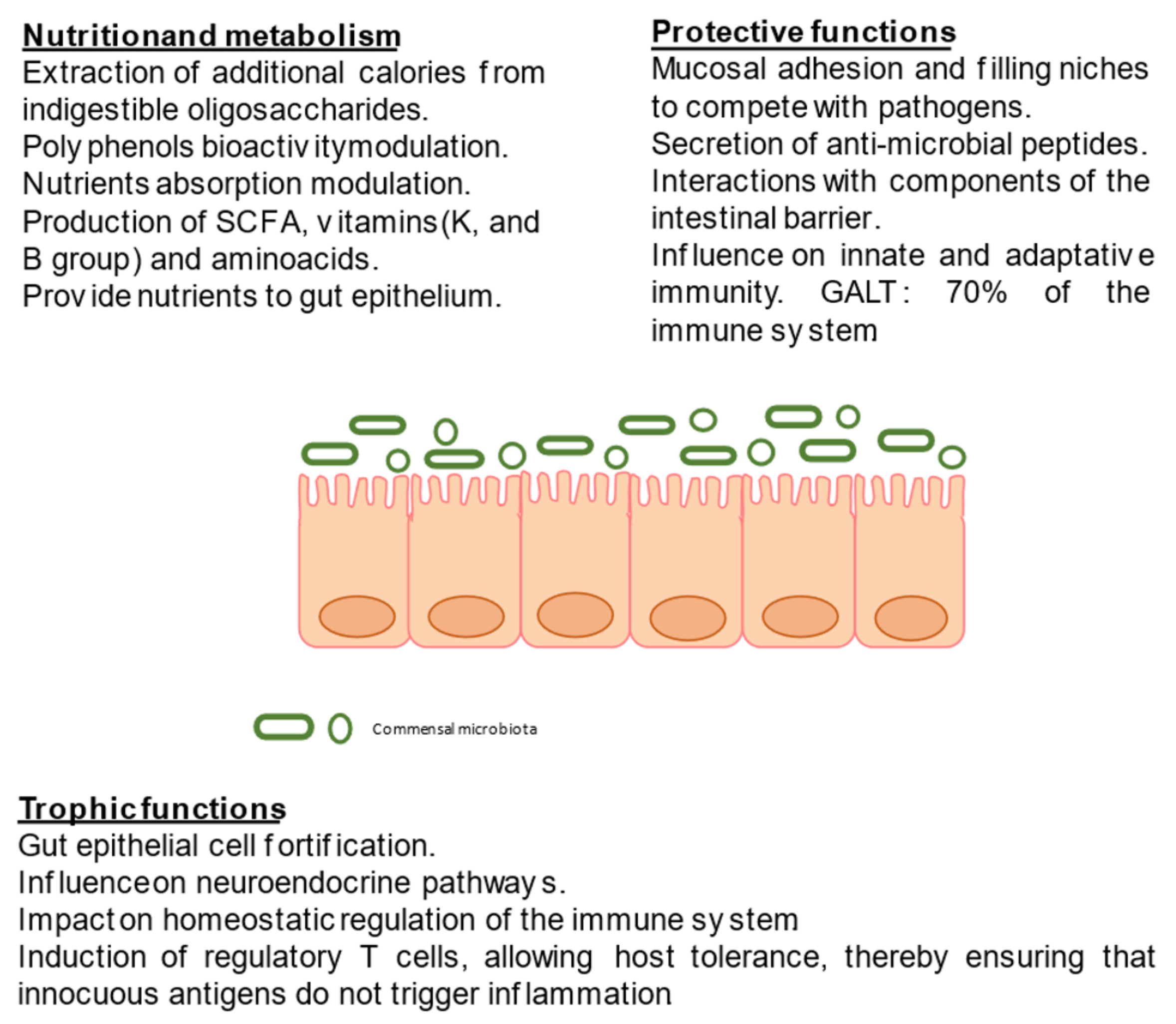 Ijms 22 03076 g001 Ijms 22 03076 g001
