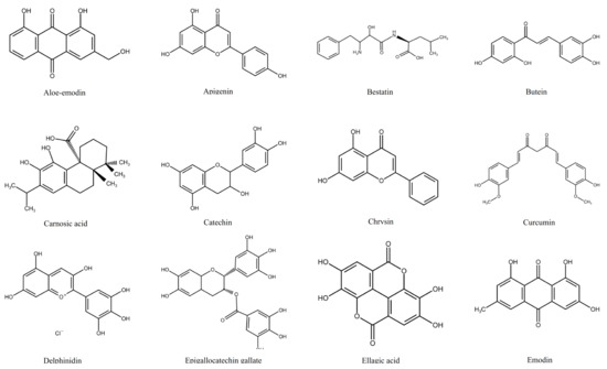 uberørt tale elev IJMS | Free Full-Text | Molecular Action of Polyphenols in Leukaemia and  Their Therapeutic Potential | HTML